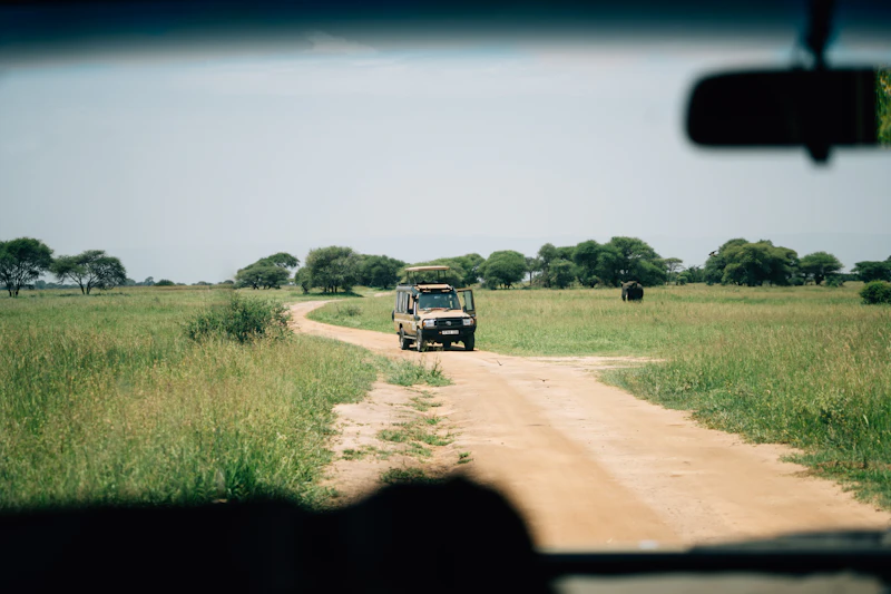 A lone safari vehicle approaching down an empty track across a gloriously still green plain