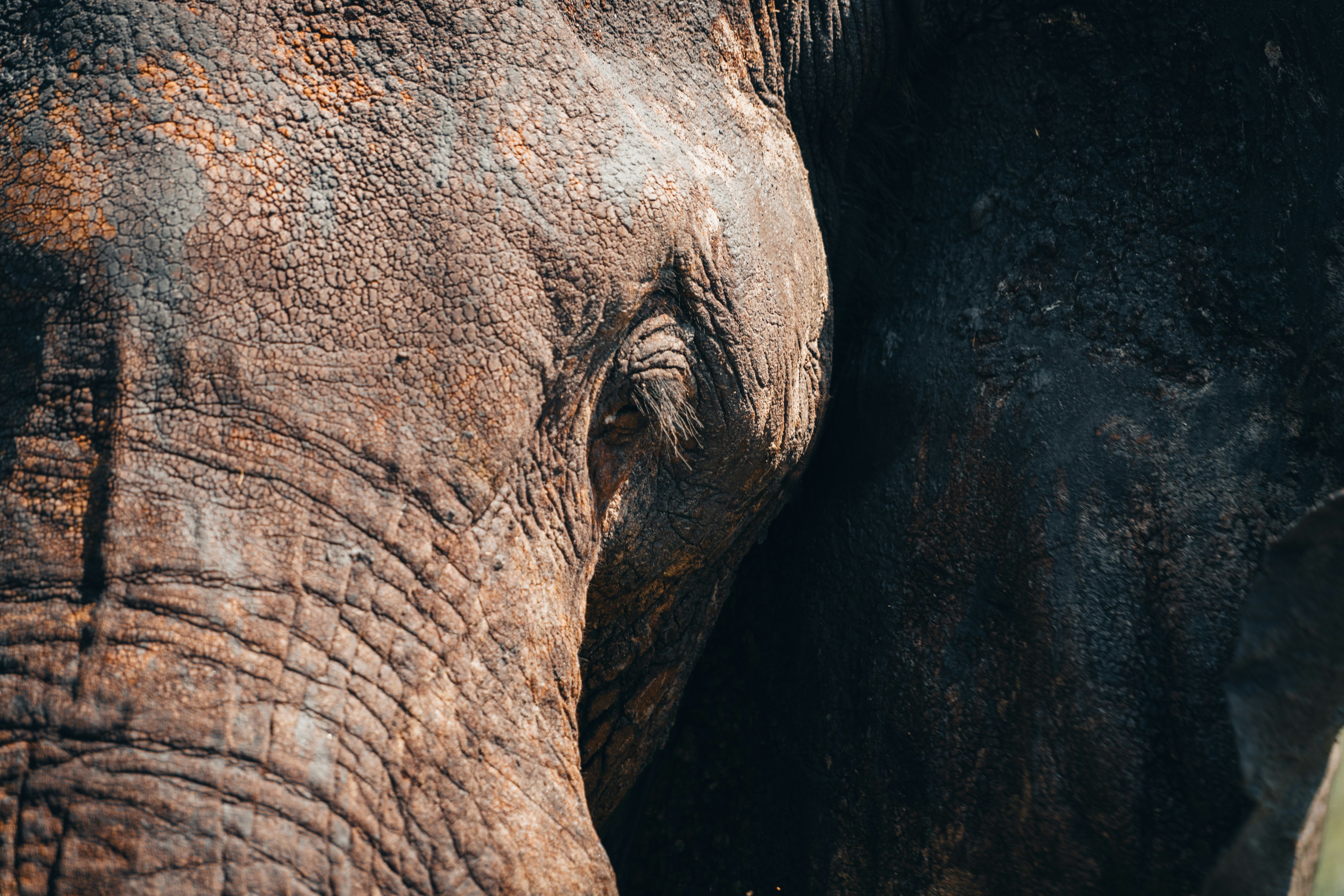 Photo by lifeof_peter_