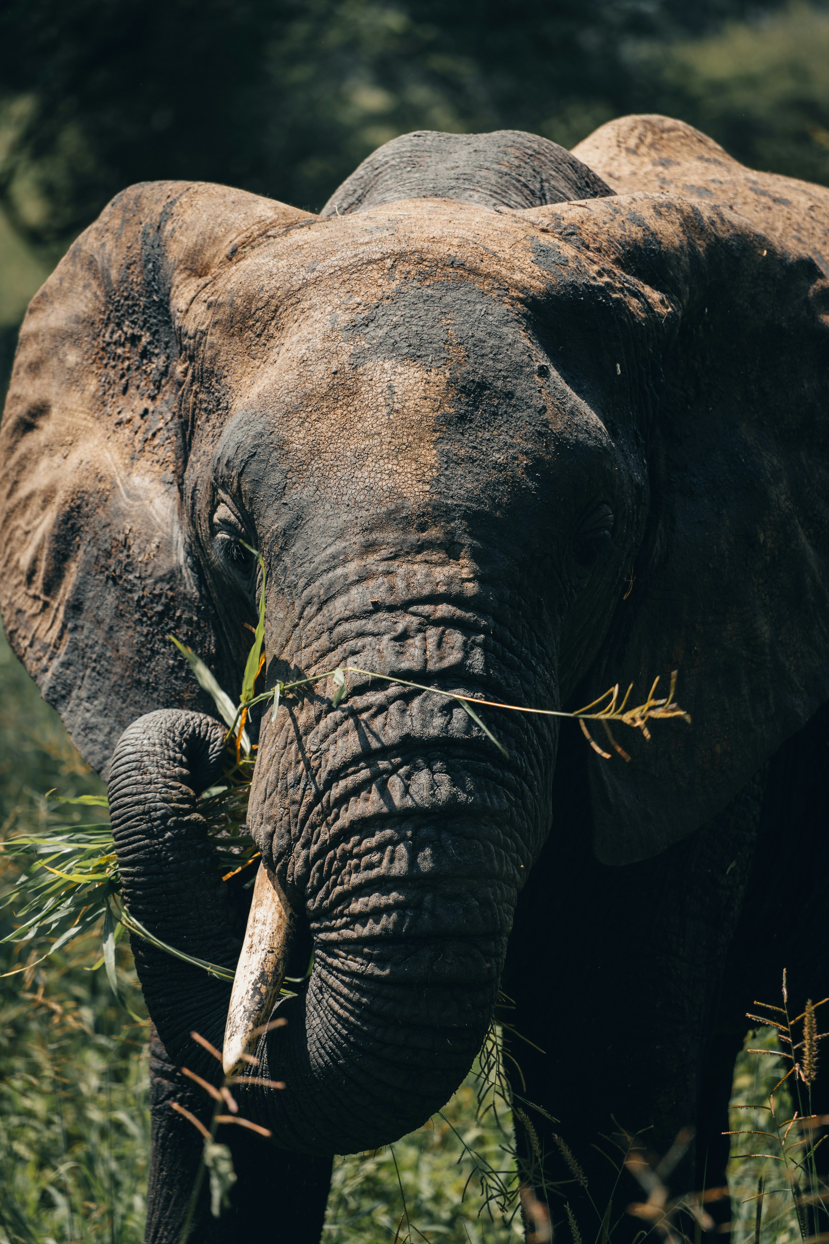 Photo by lifeof_peter_