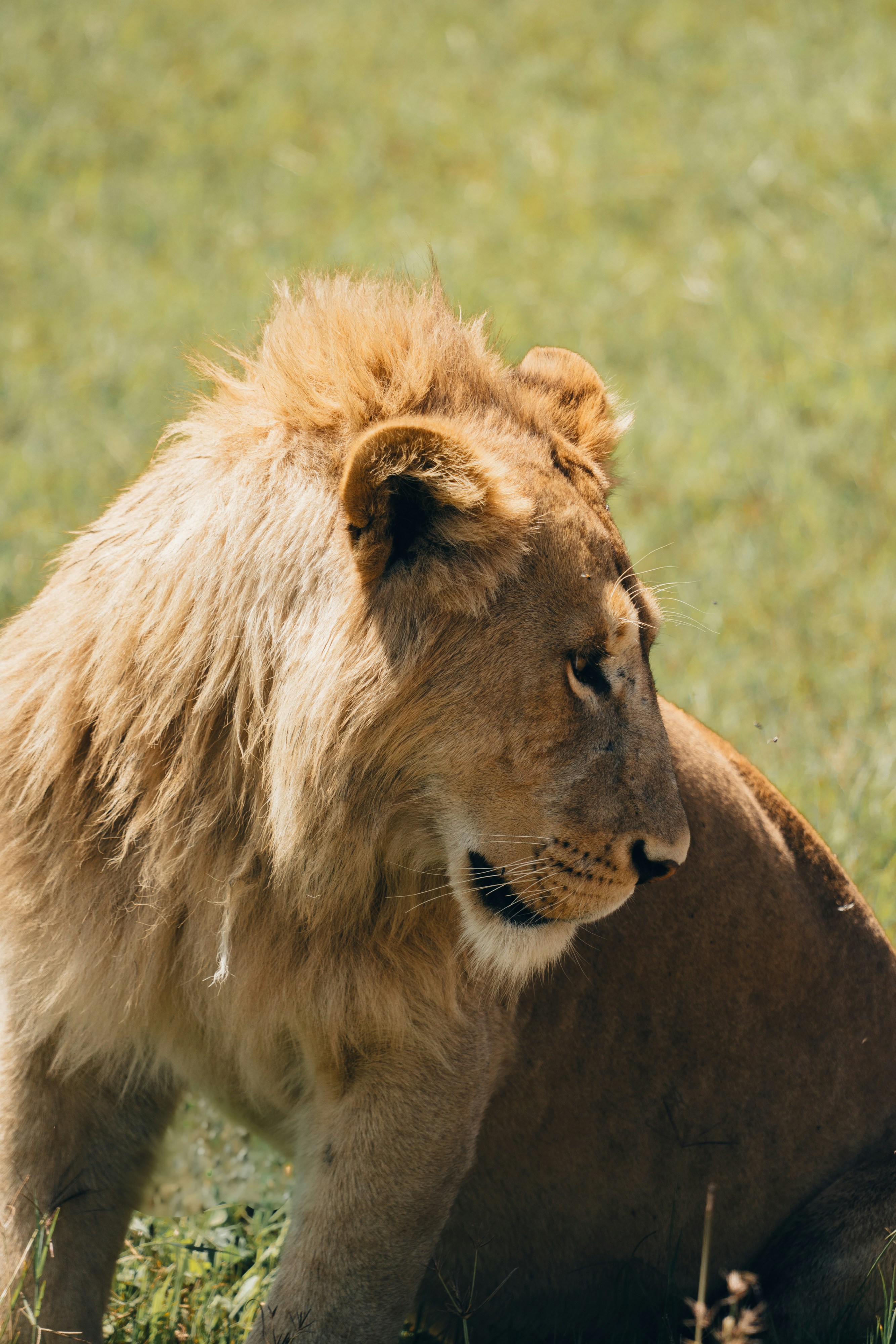 Photo by lifeof_peter_