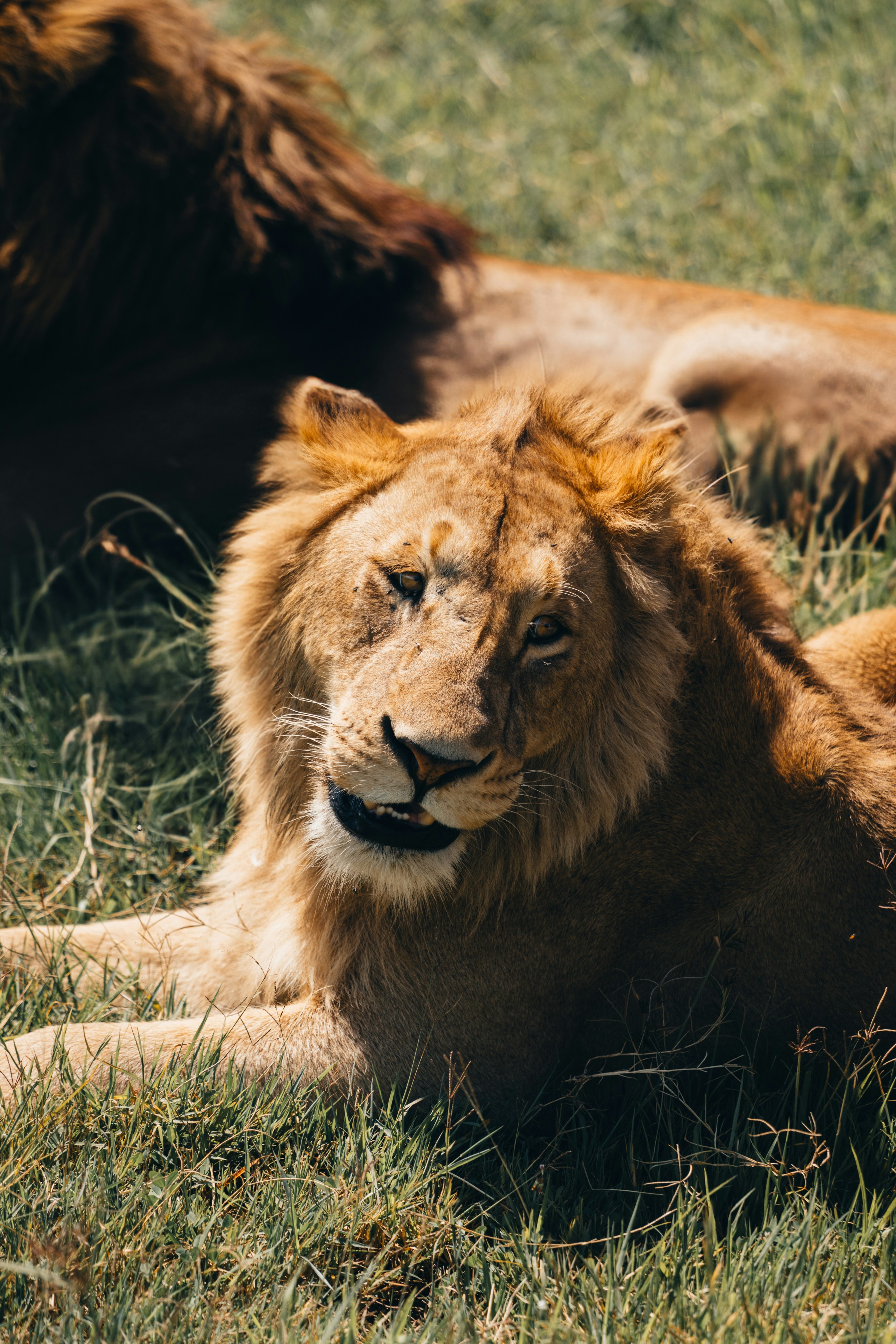 Photo by lifeof_peter_