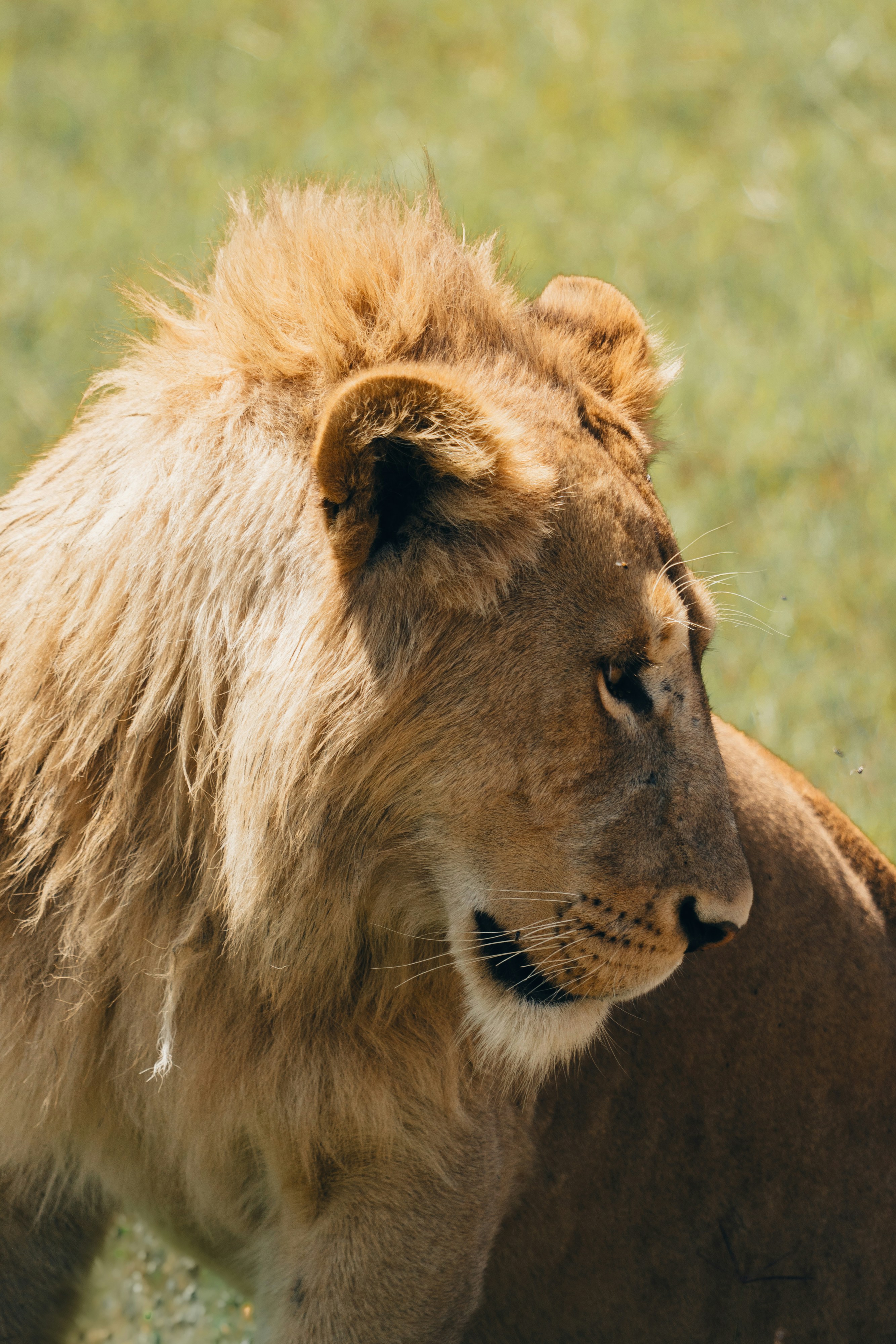 Photo by lifeof_peter_