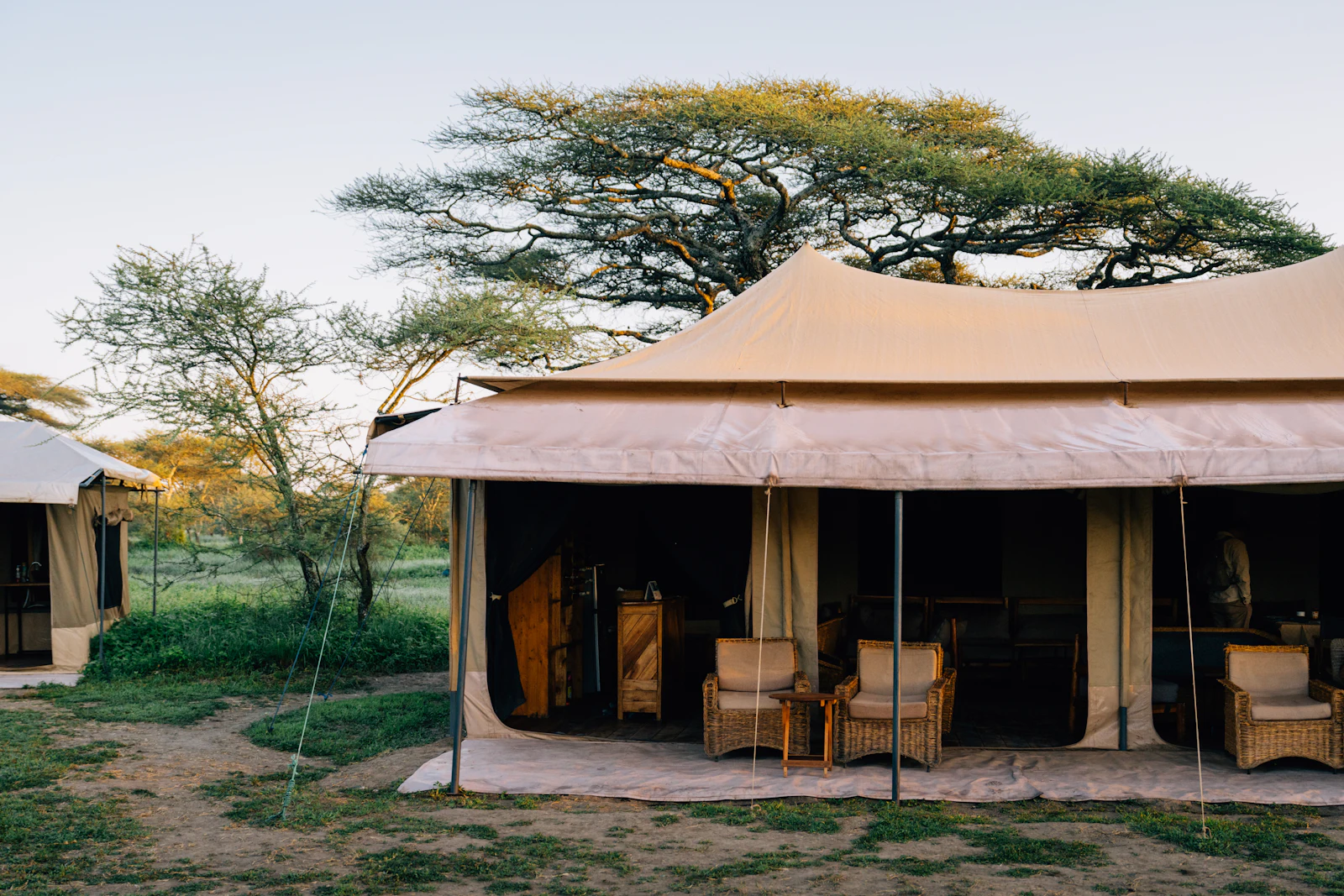Luxury tented camp beneath acacia trees