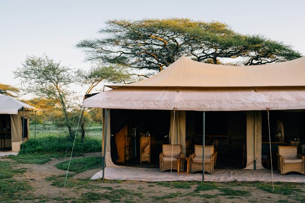 Safari Lodge