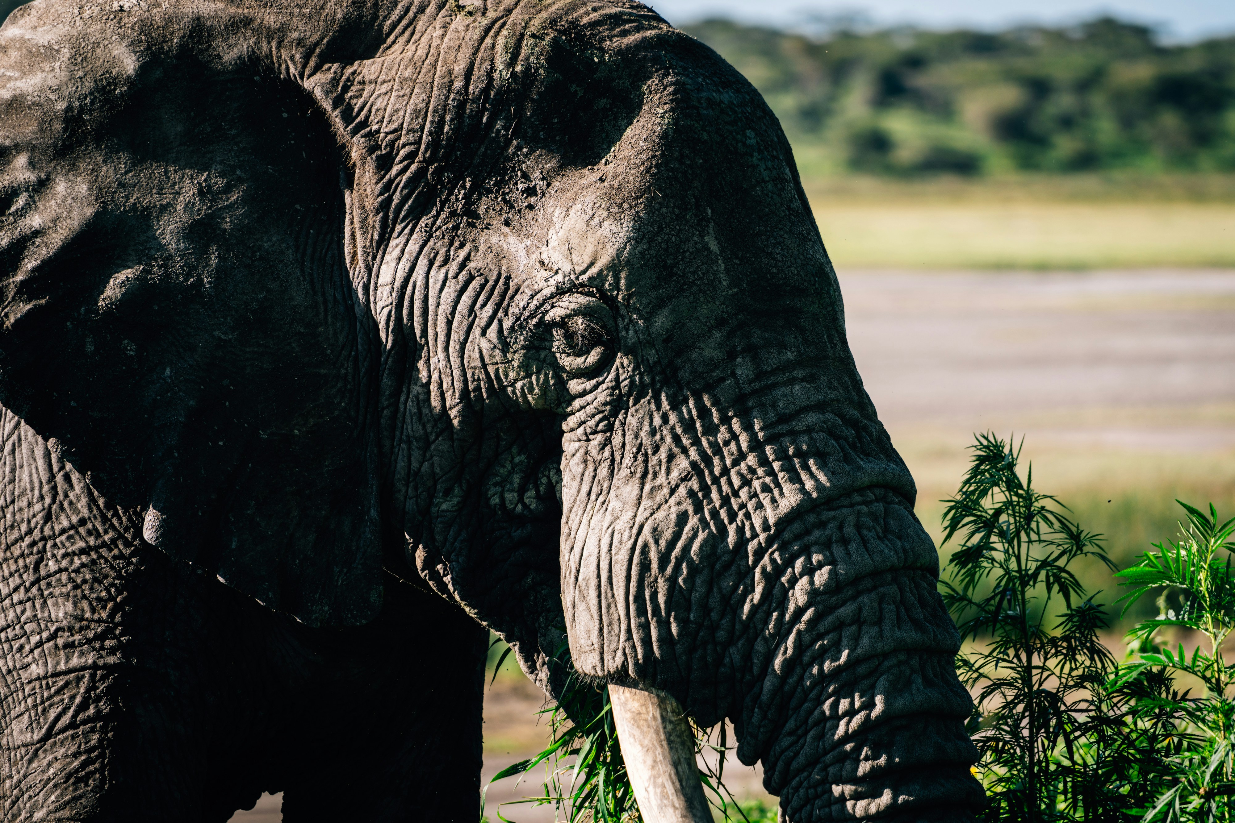 Photo by lifeof_peter_