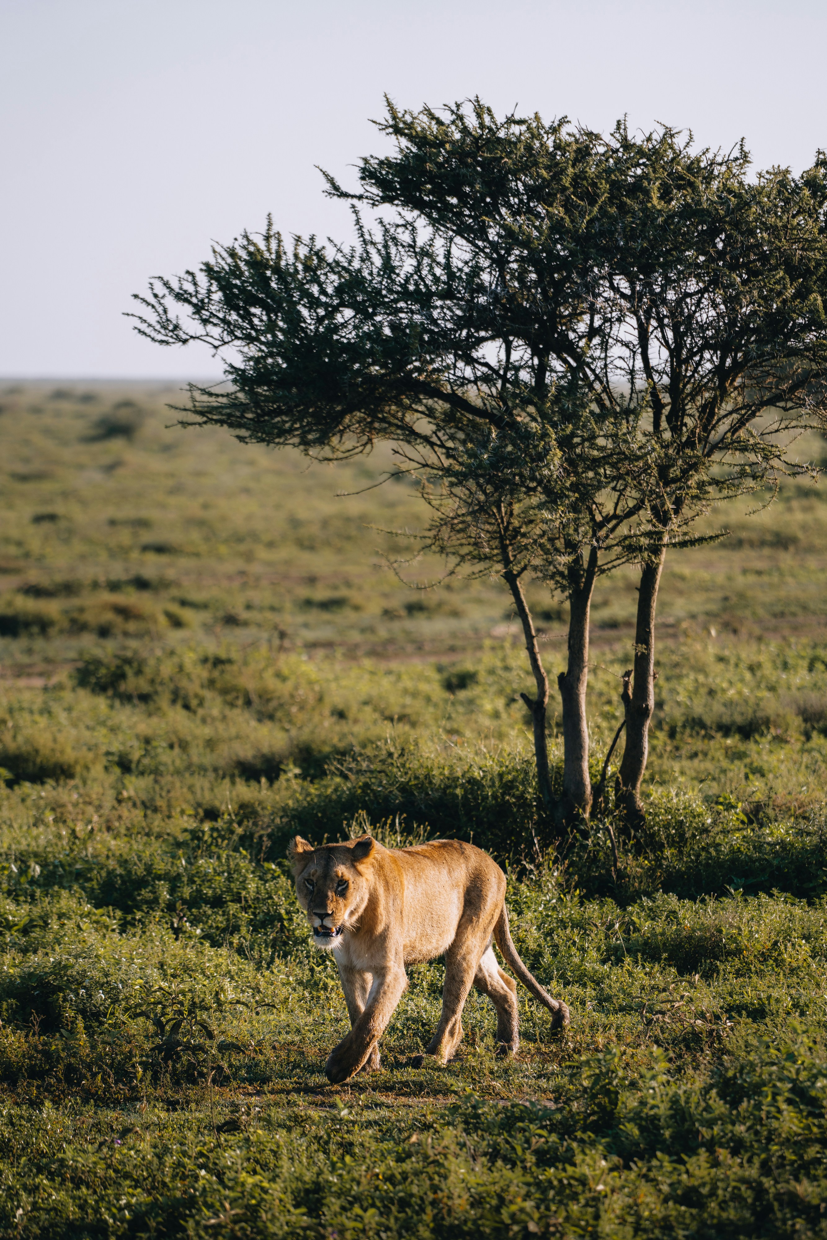 Photo by lifeof_peter_