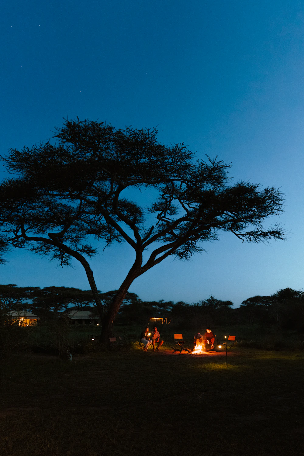 Luxury Tented Camps