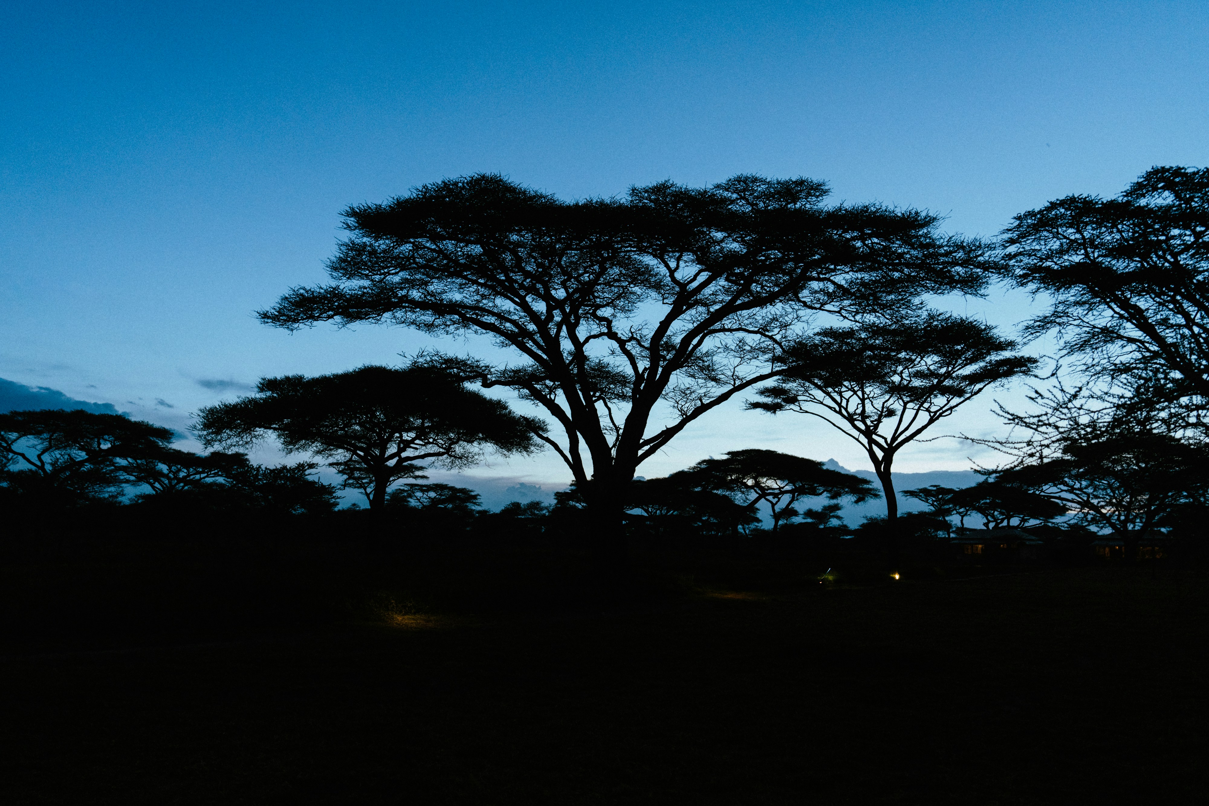 Photo by lifeof_peter_