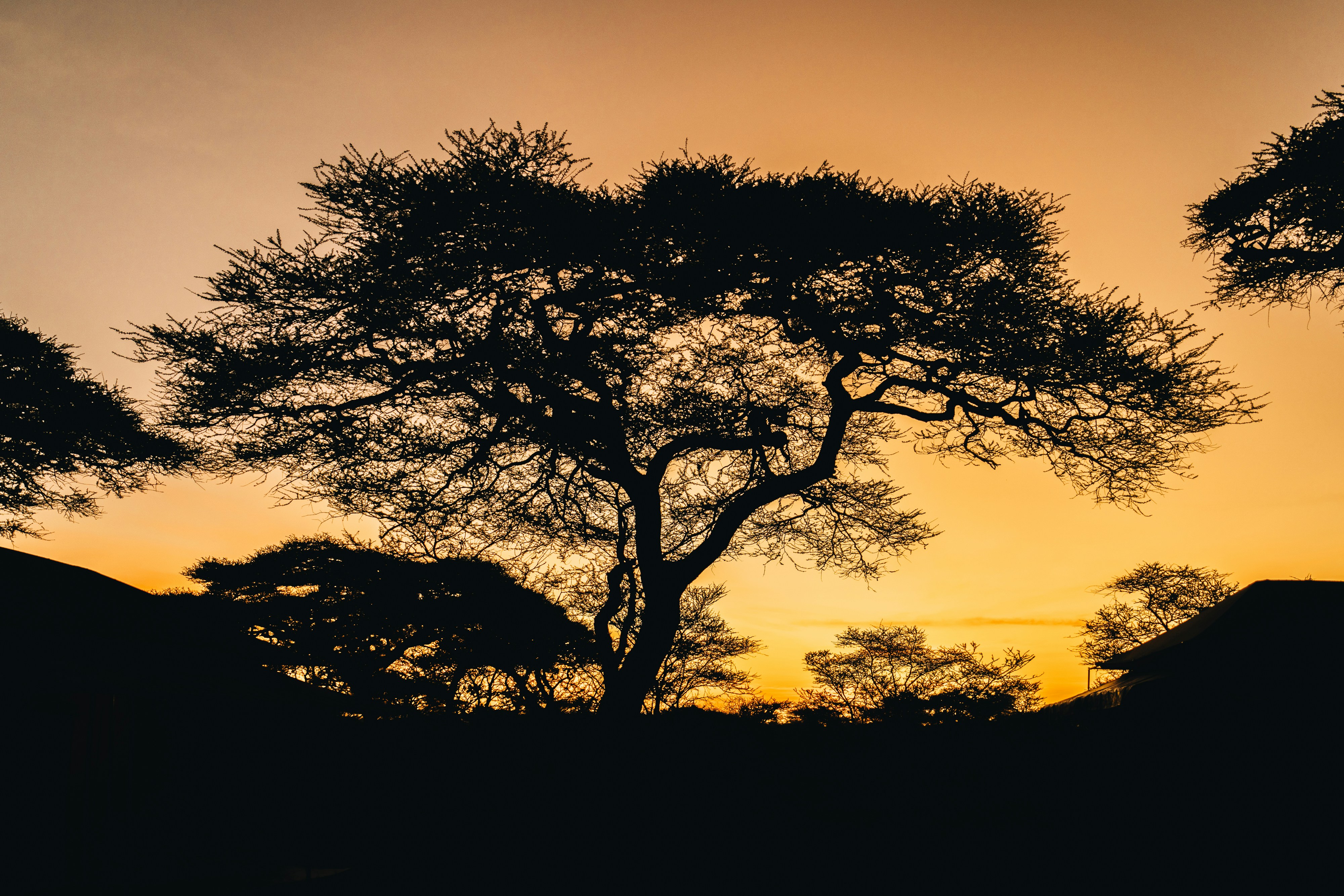 Photo by lifeof_peter_