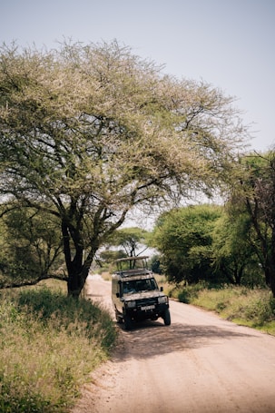 A safari jeep on a dirt road in the savanna.