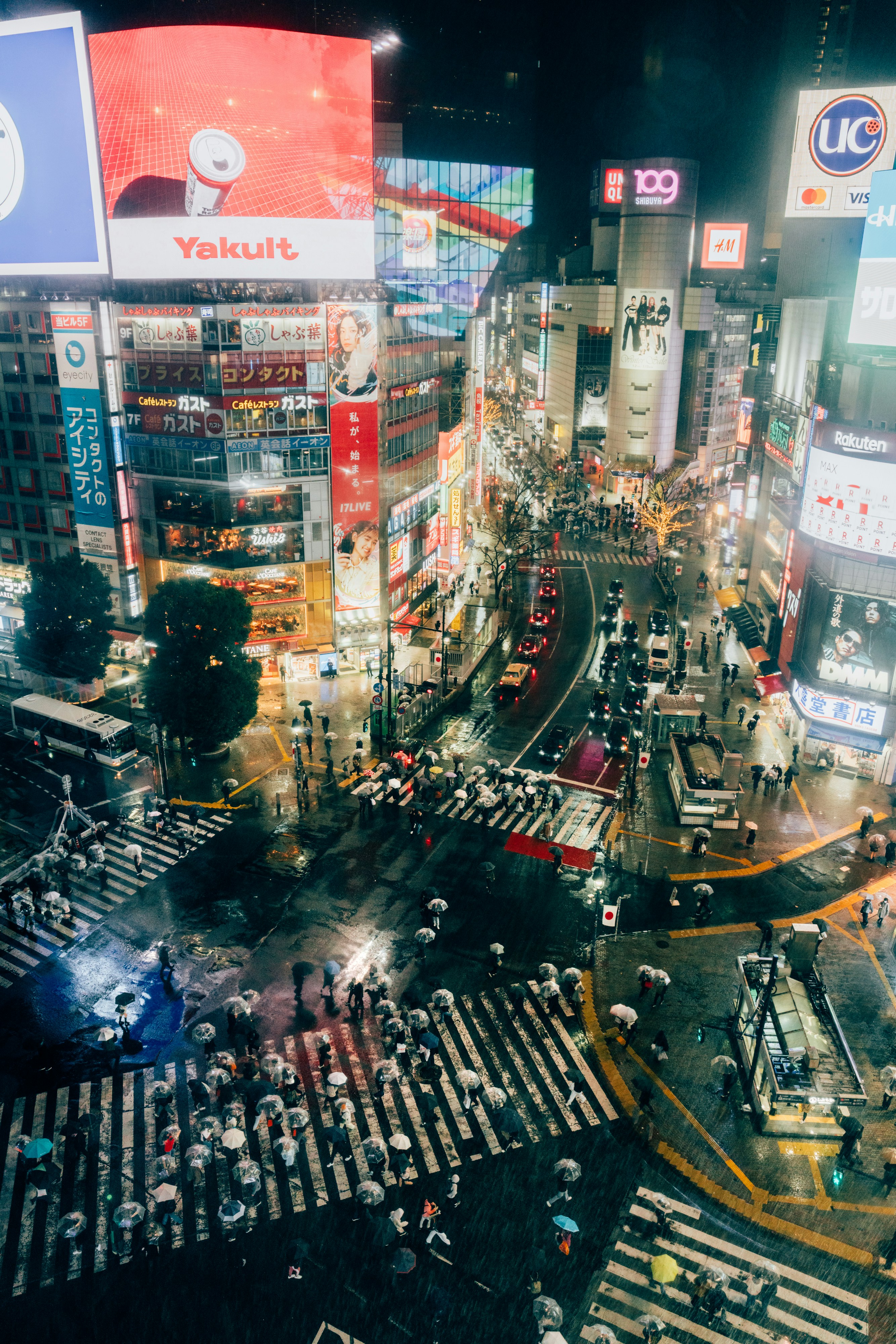 Photo by lifeof_peter_