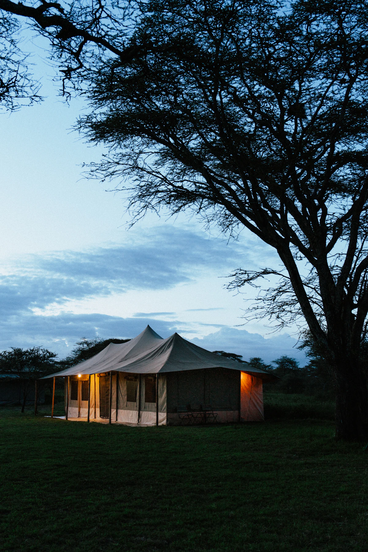 Atmospheric view near Amboseli, illustrative of the setting around Tortilis Camp