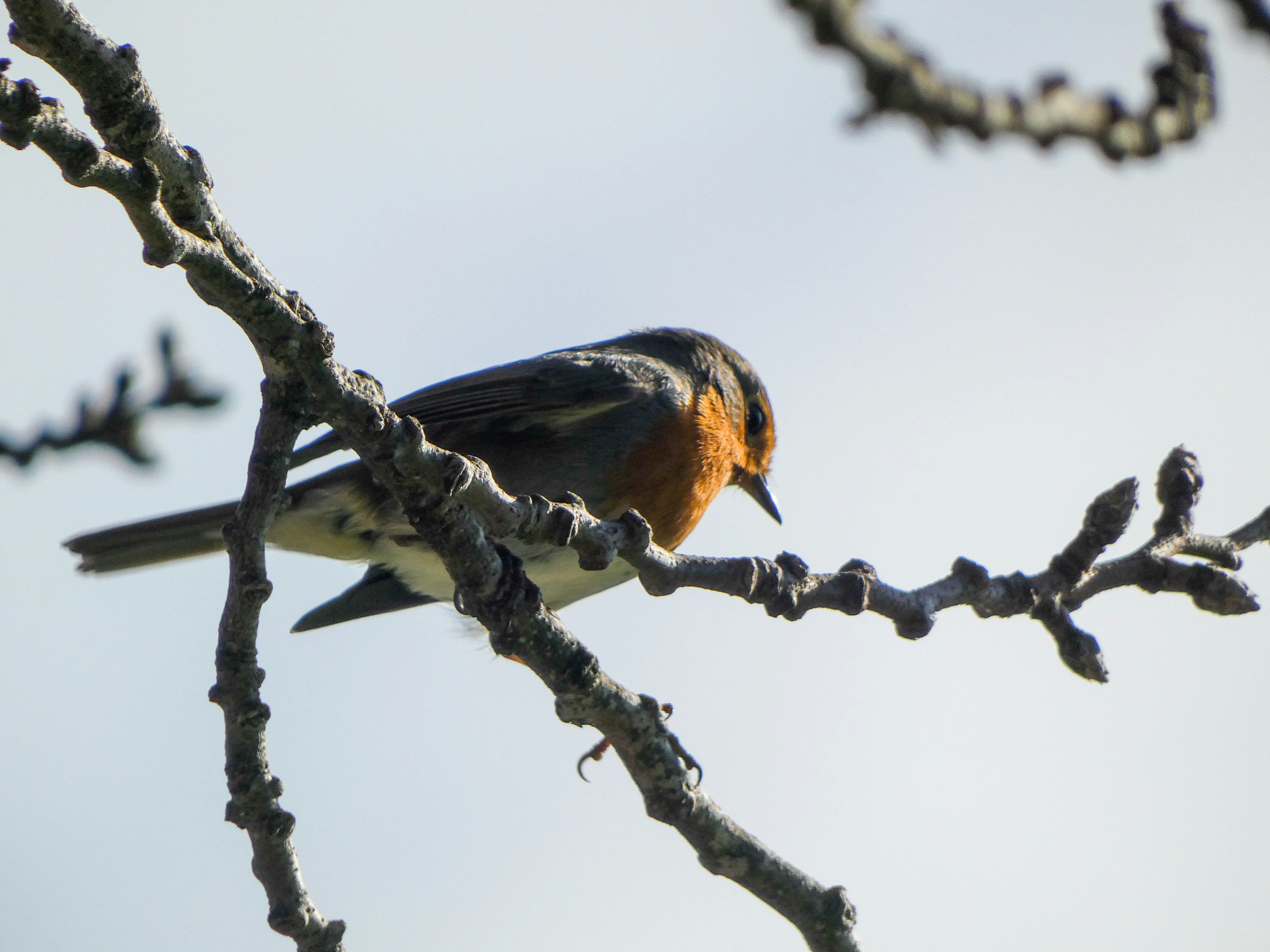 Photo by onderandinc