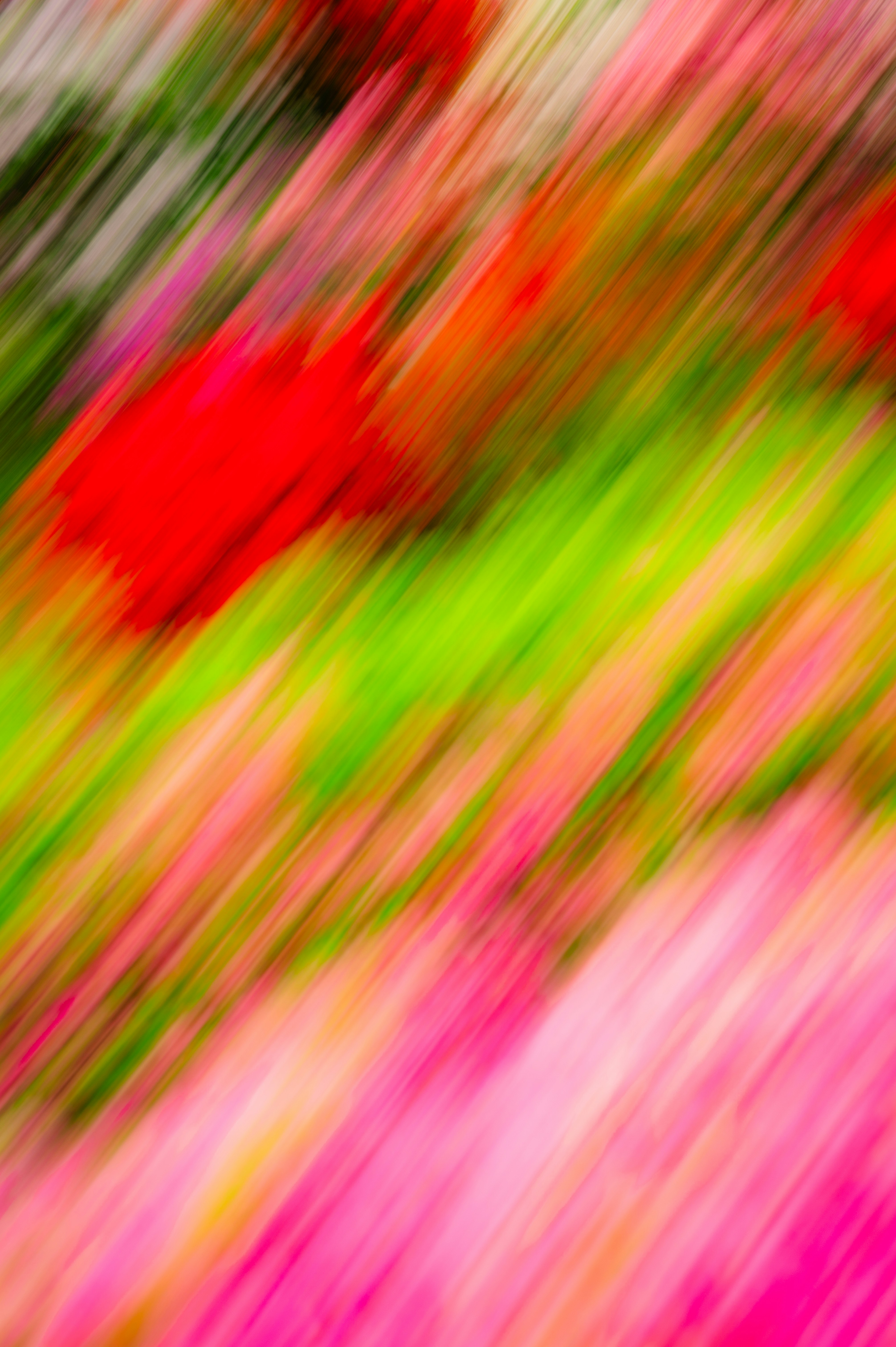 Abstract floral image with colorful lines.