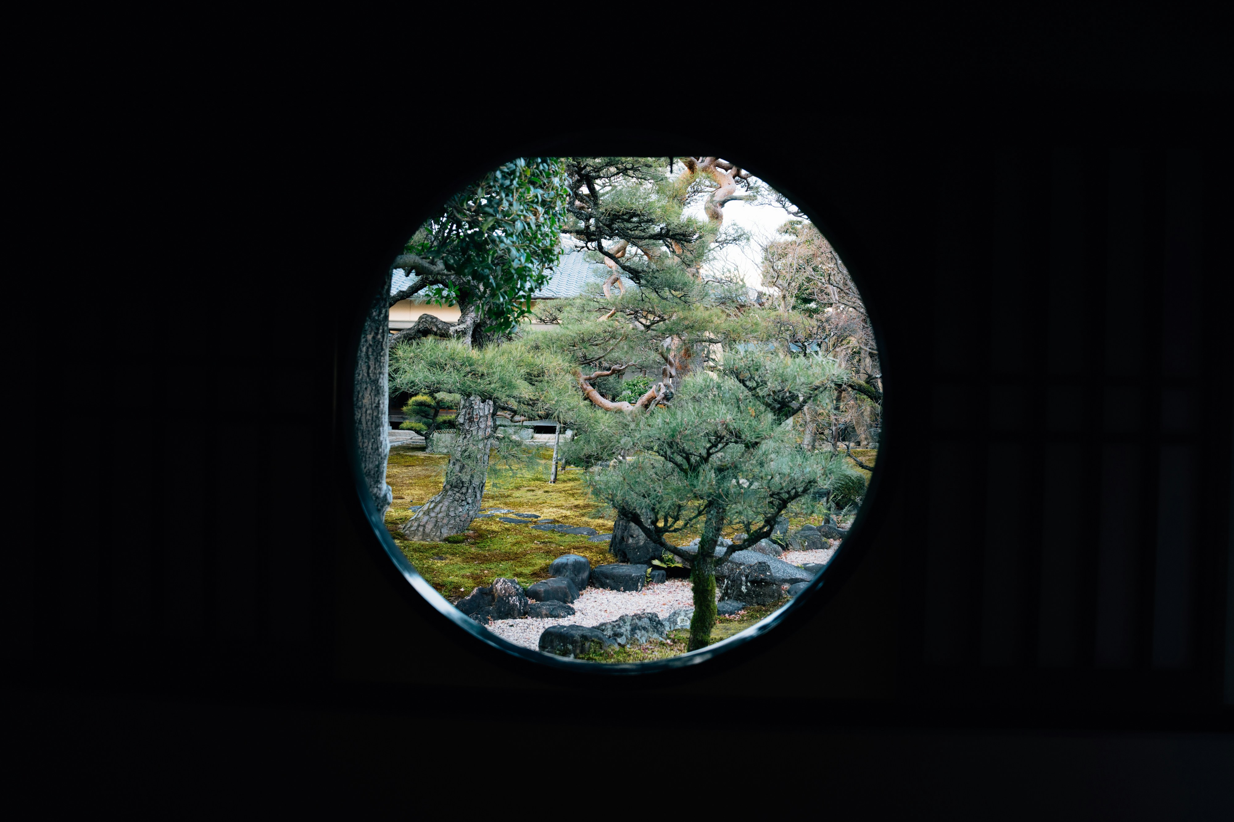 Photo by lifeof_peter_