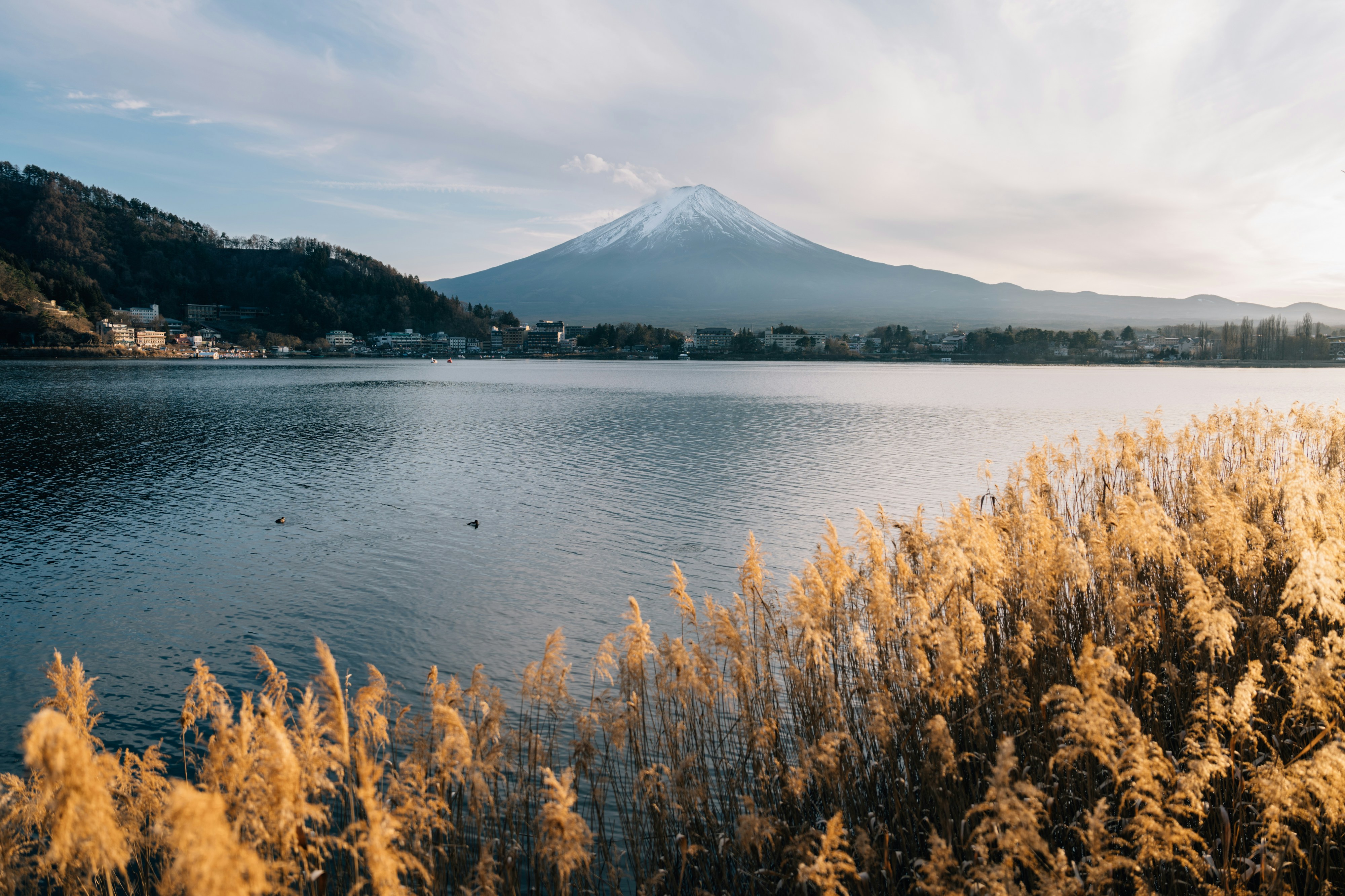 Photo by lifeof_peter_