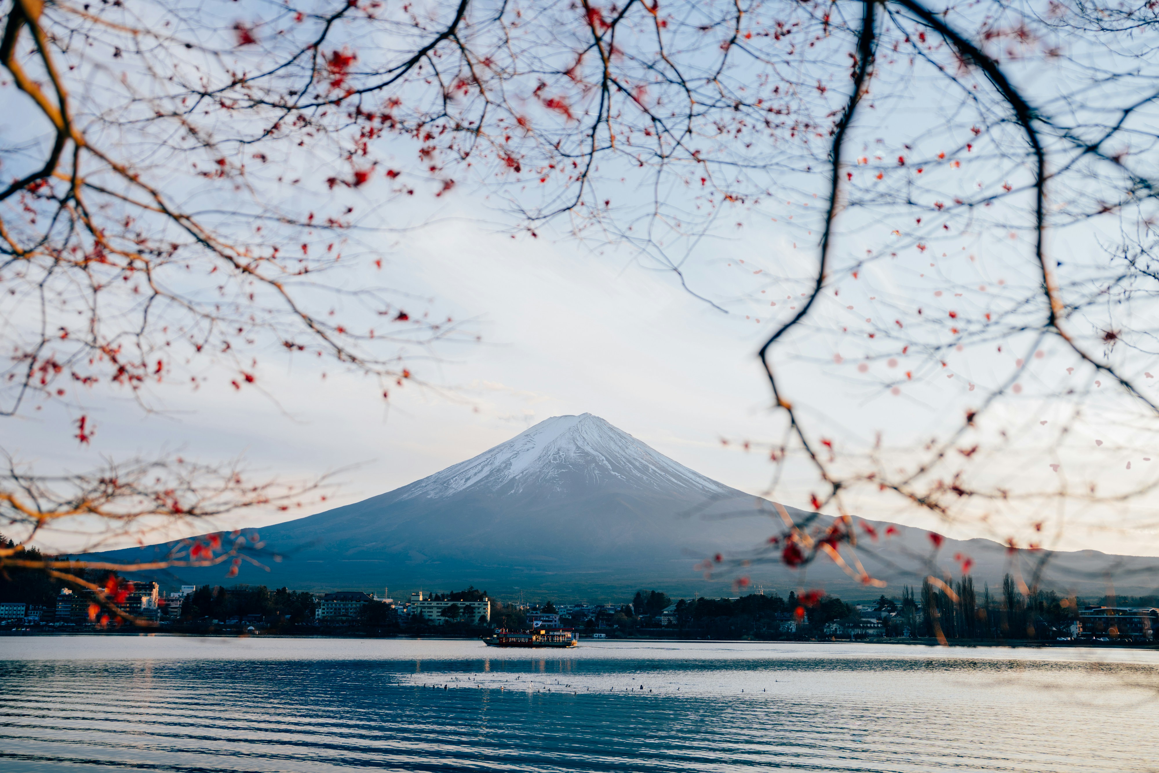 Mt. fuji framed by tree branches over water.
