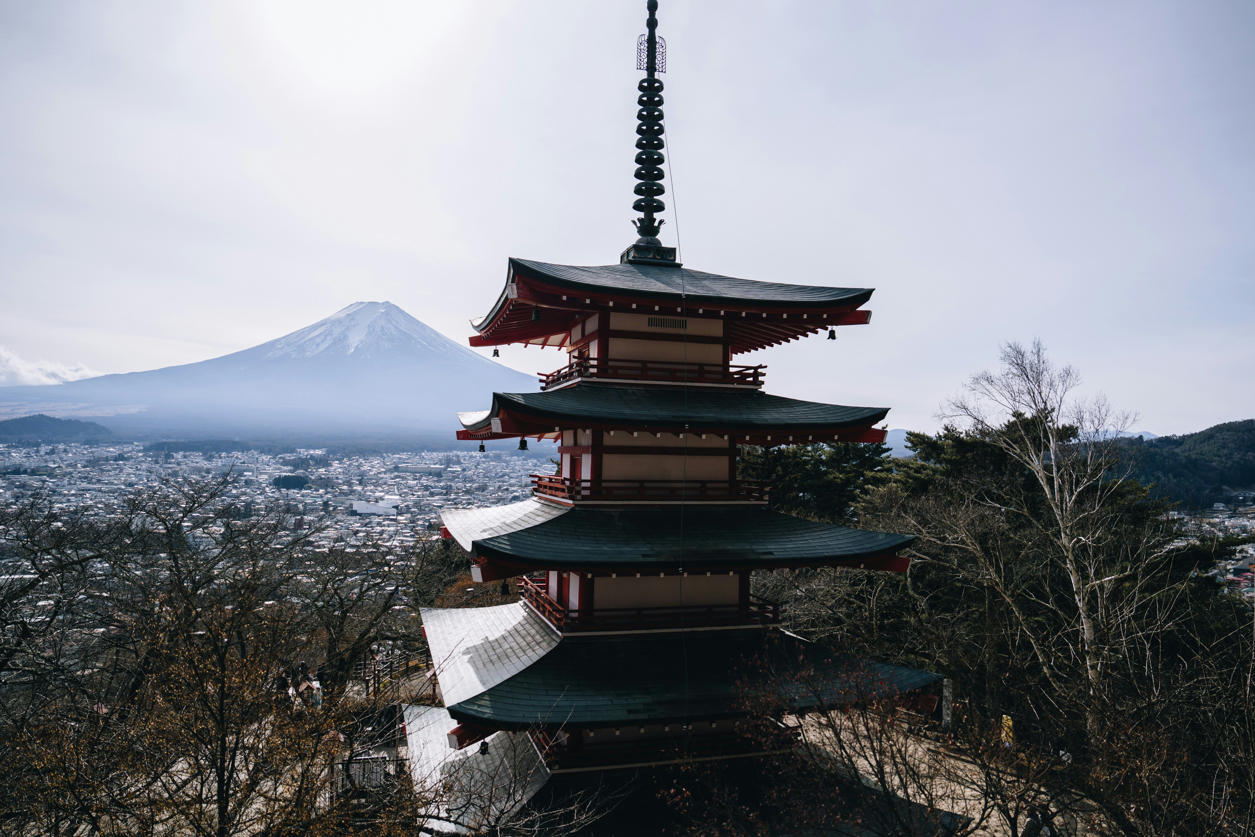 Photo by lifeof_peter_