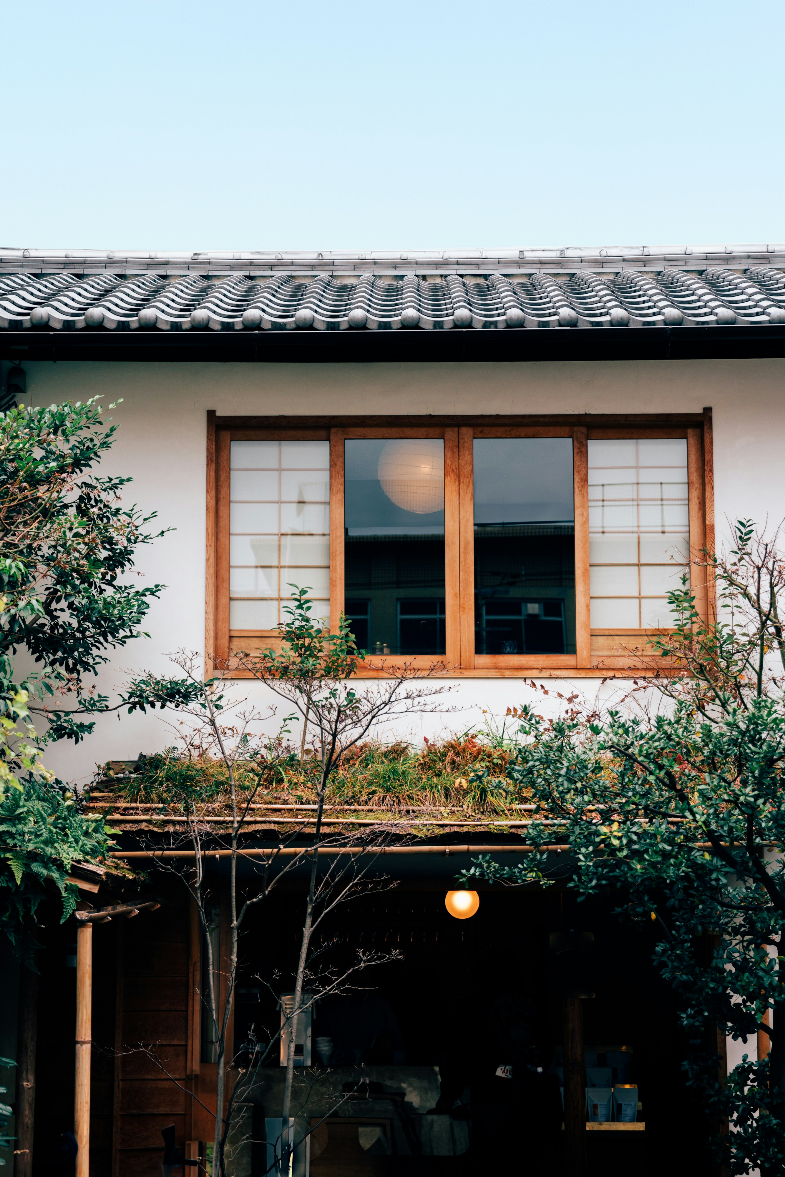 Photo by lifeof_peter_