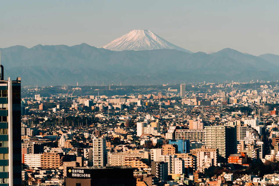Tokyo in Winter