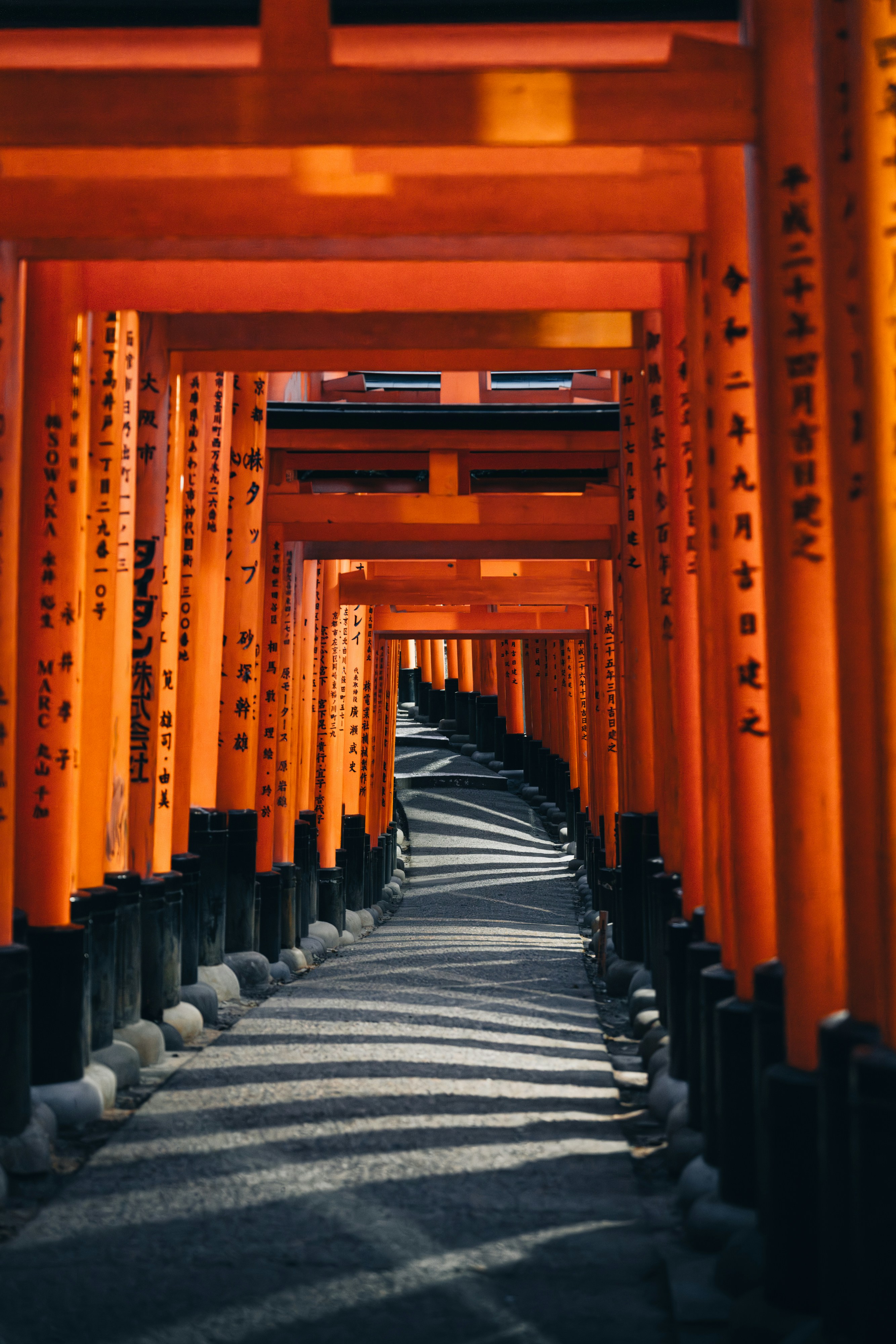 Photo by lifeof_peter_