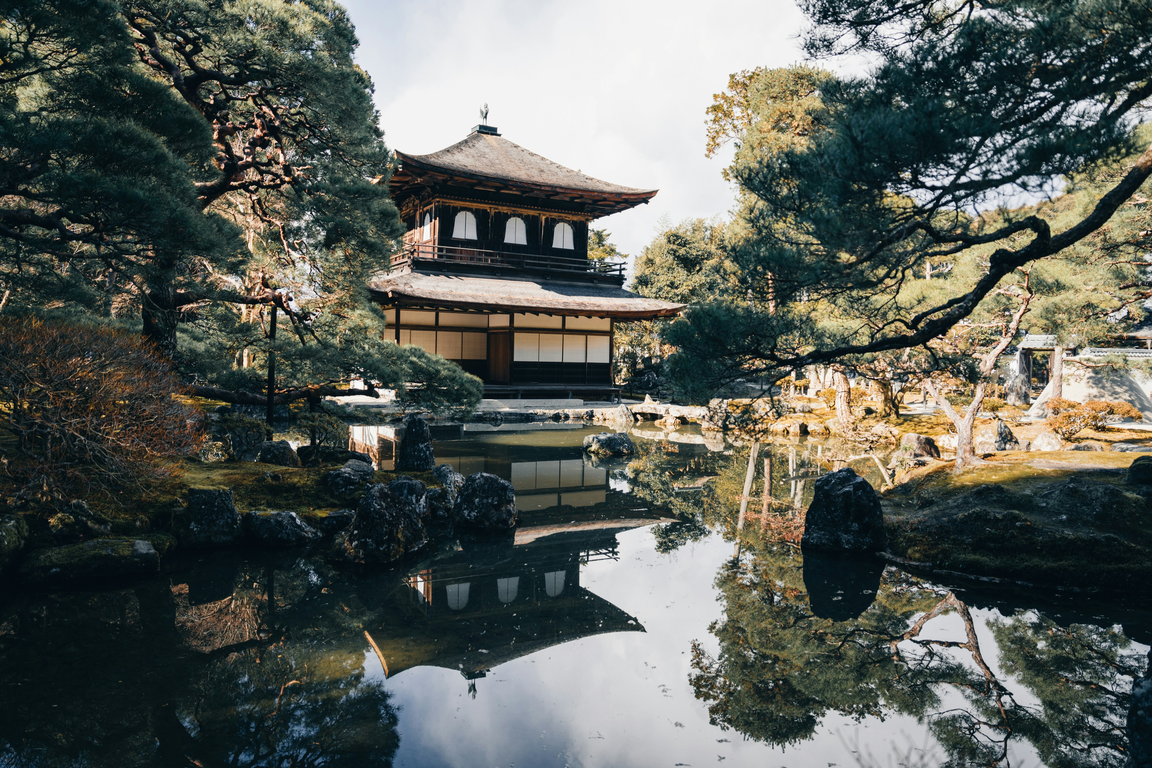 The Difference Of Integrative Health Contrasted To Conventional Medication