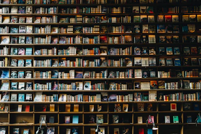 Books fill a wooden bookshelf.