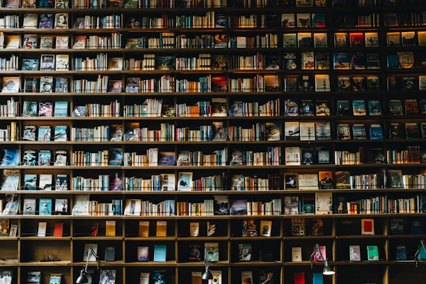 Books fill a wooden bookshelf.