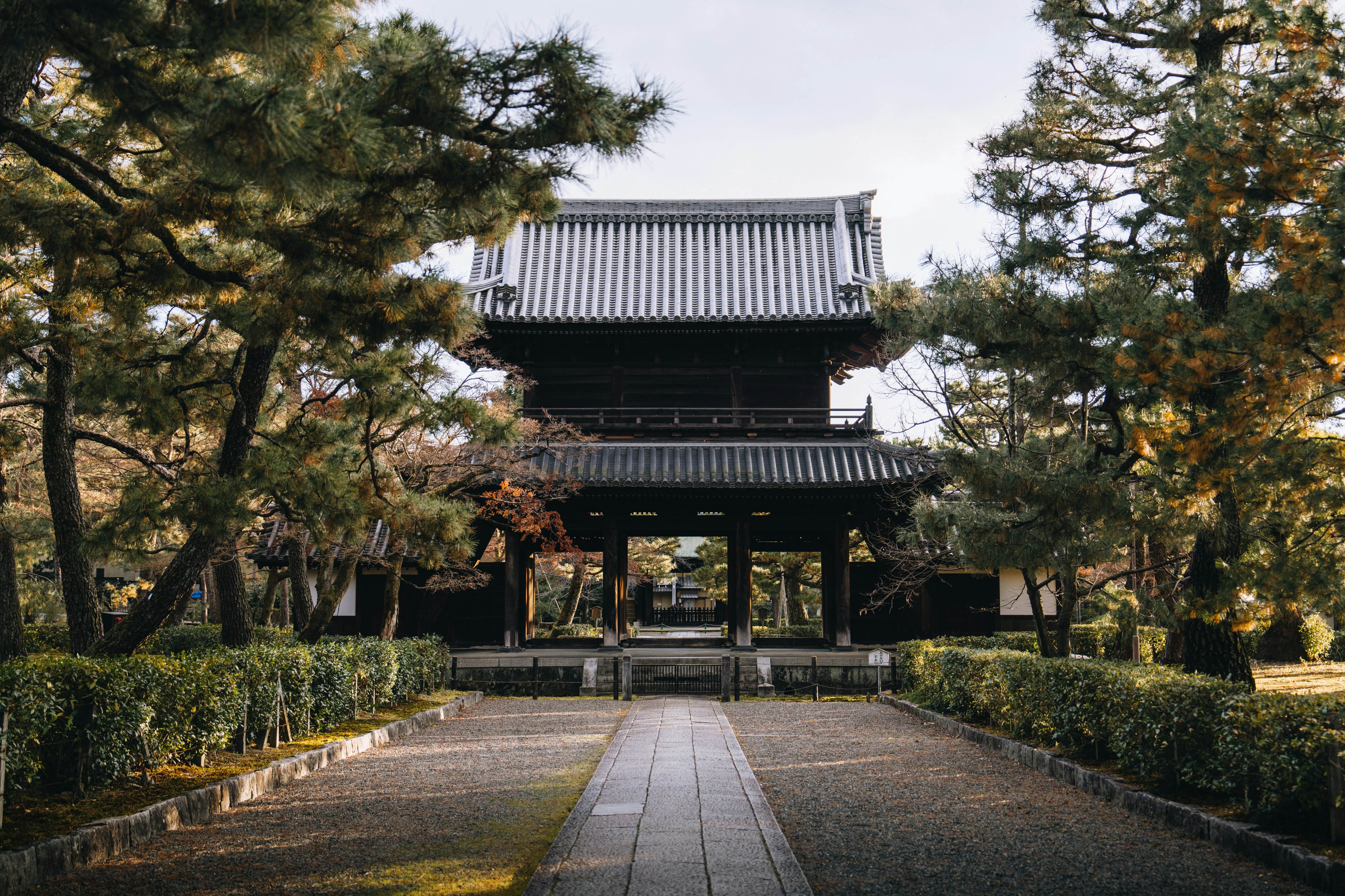 Photo by lifeof_peter_