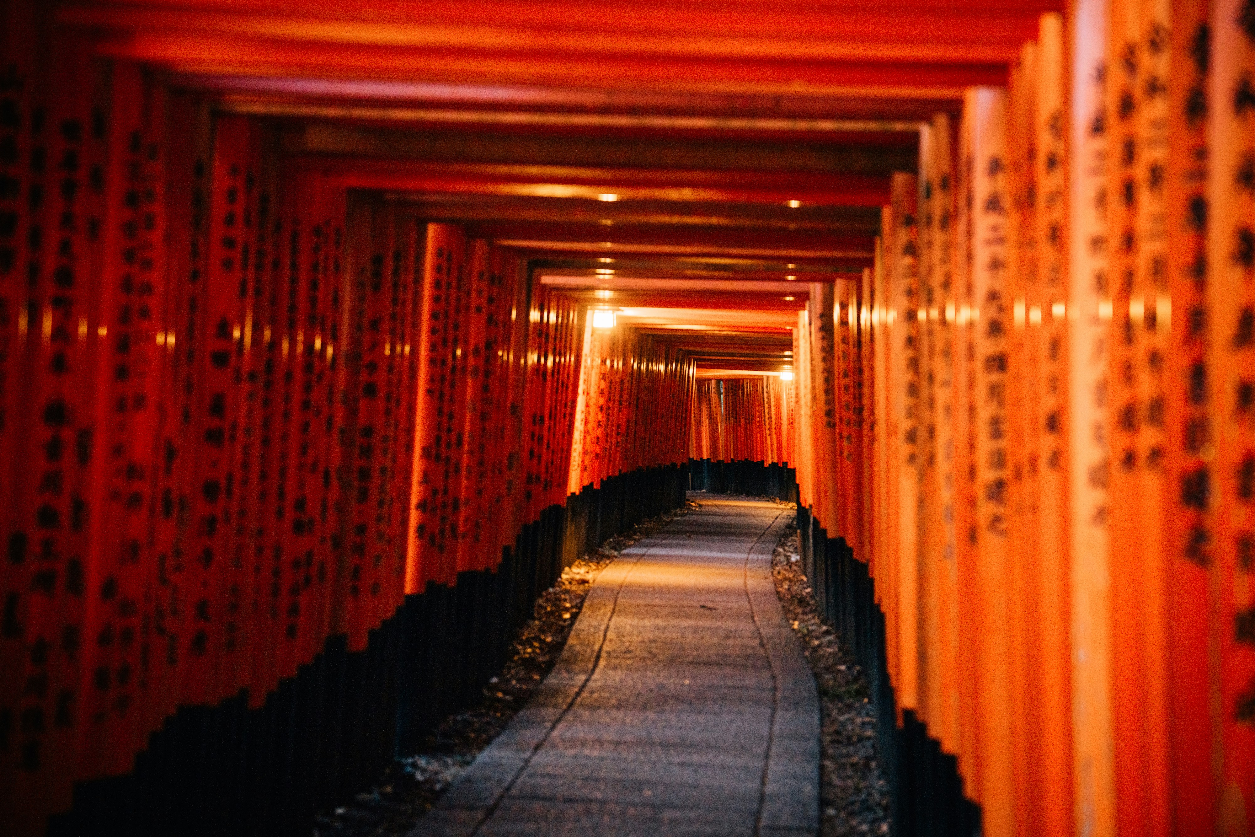 Photo by lifeof_peter_