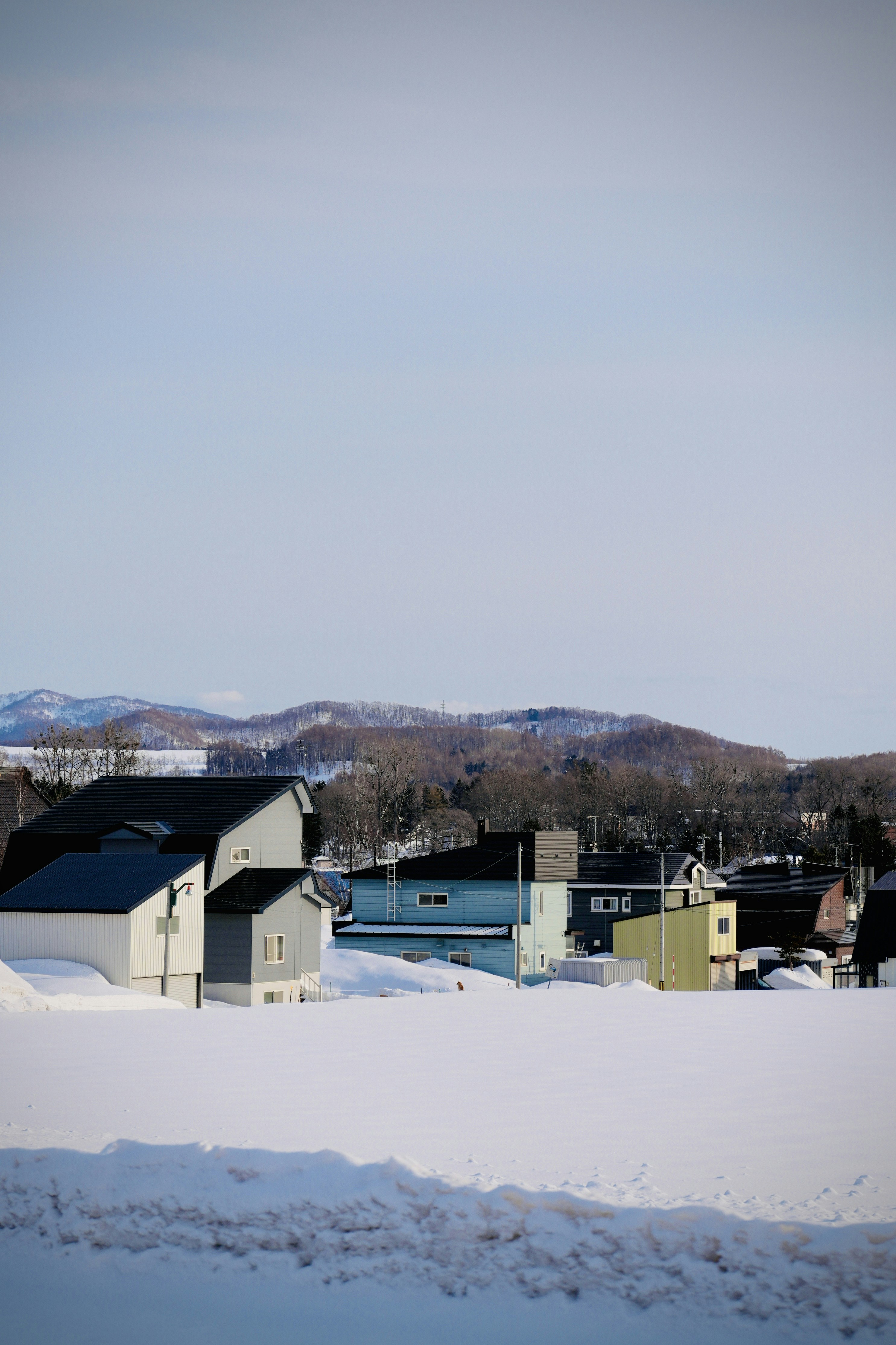 Photo by treesan