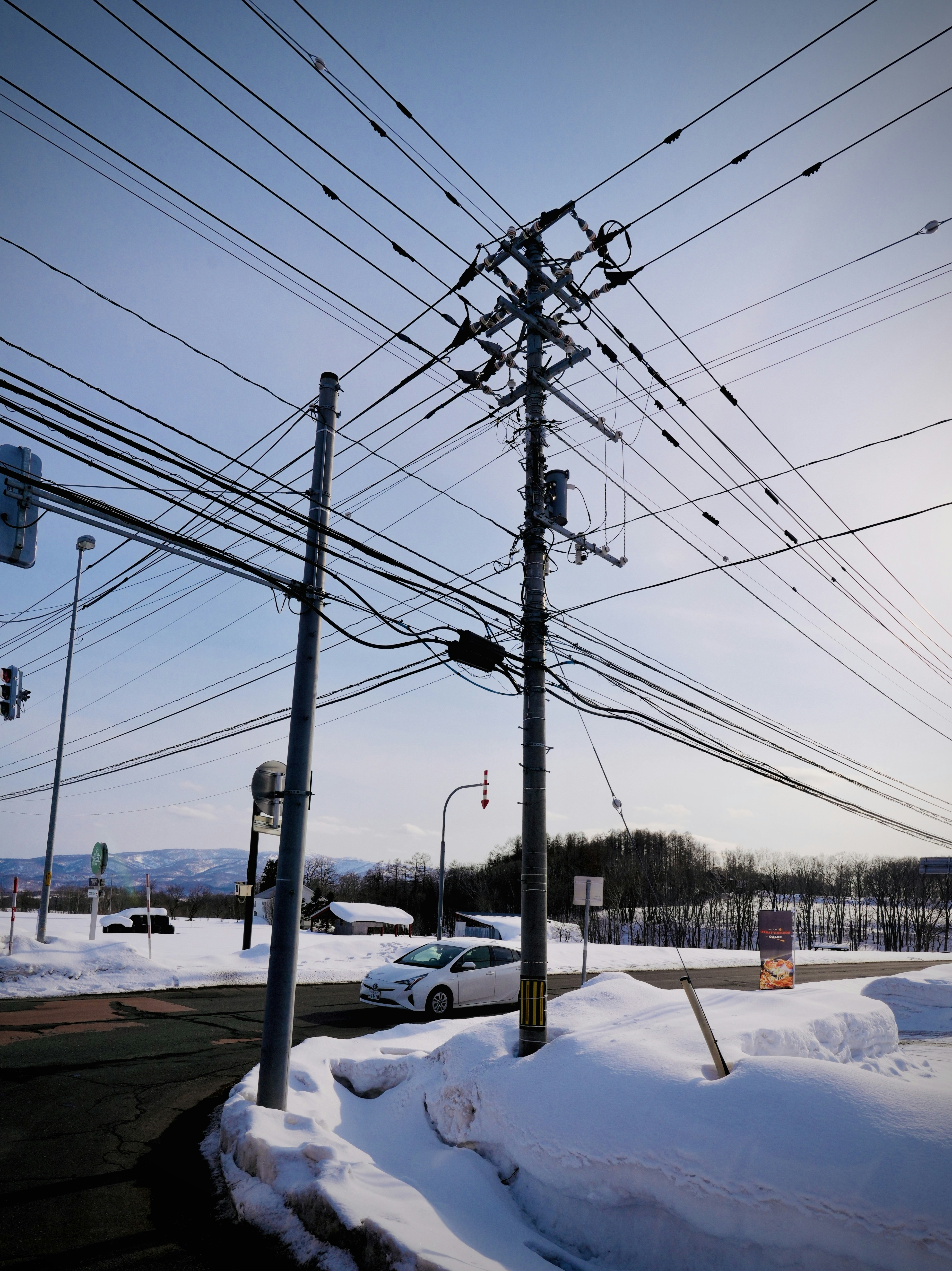 Photo by treesan