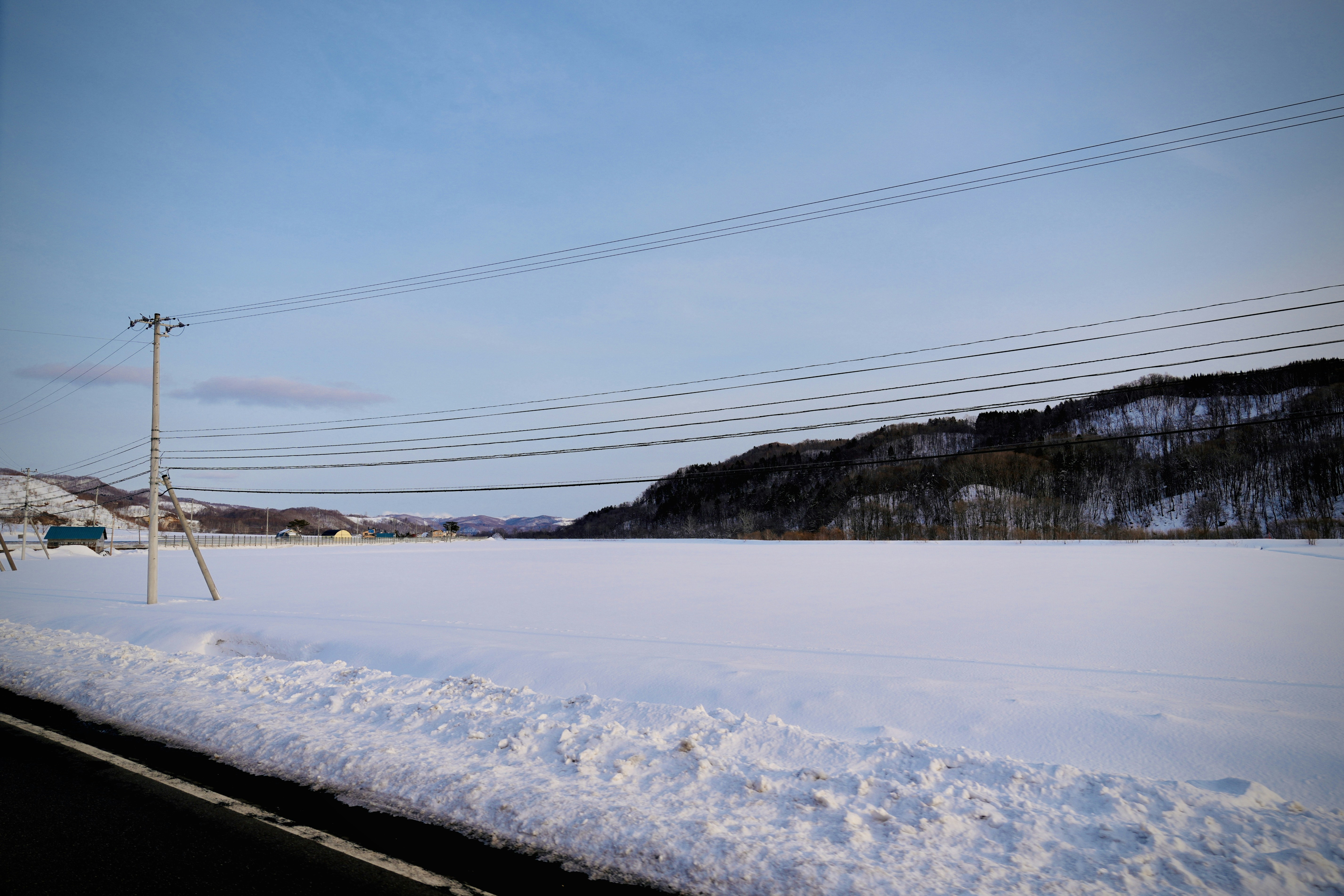 Photo by treesan