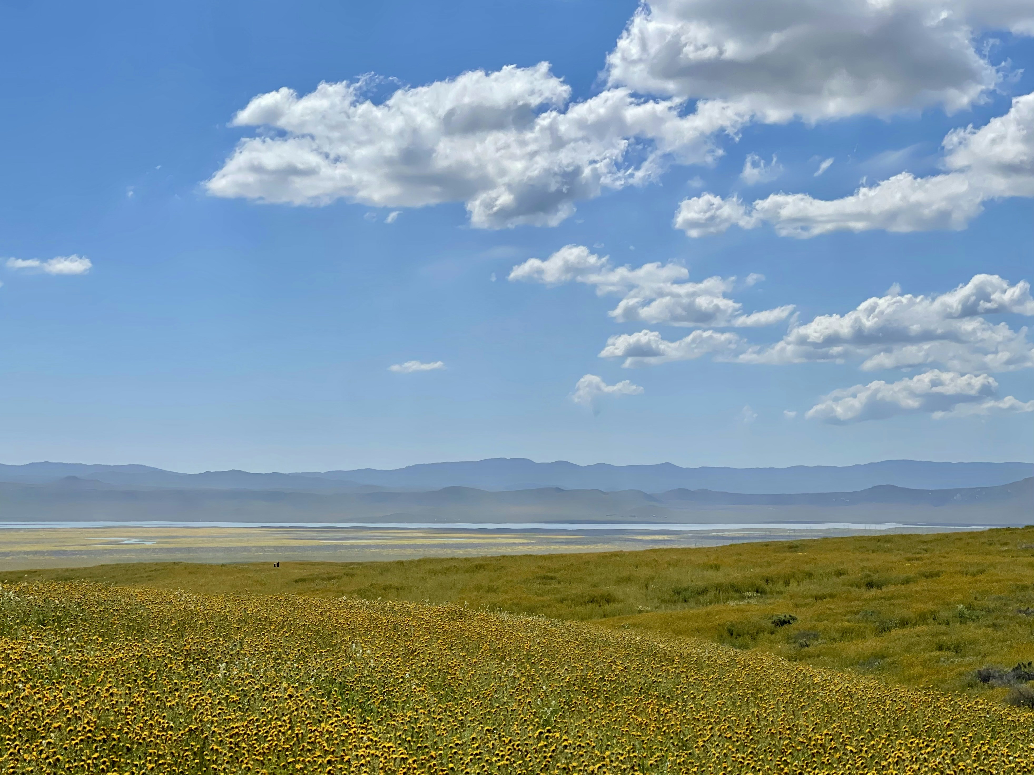 Photo by cam_cameras