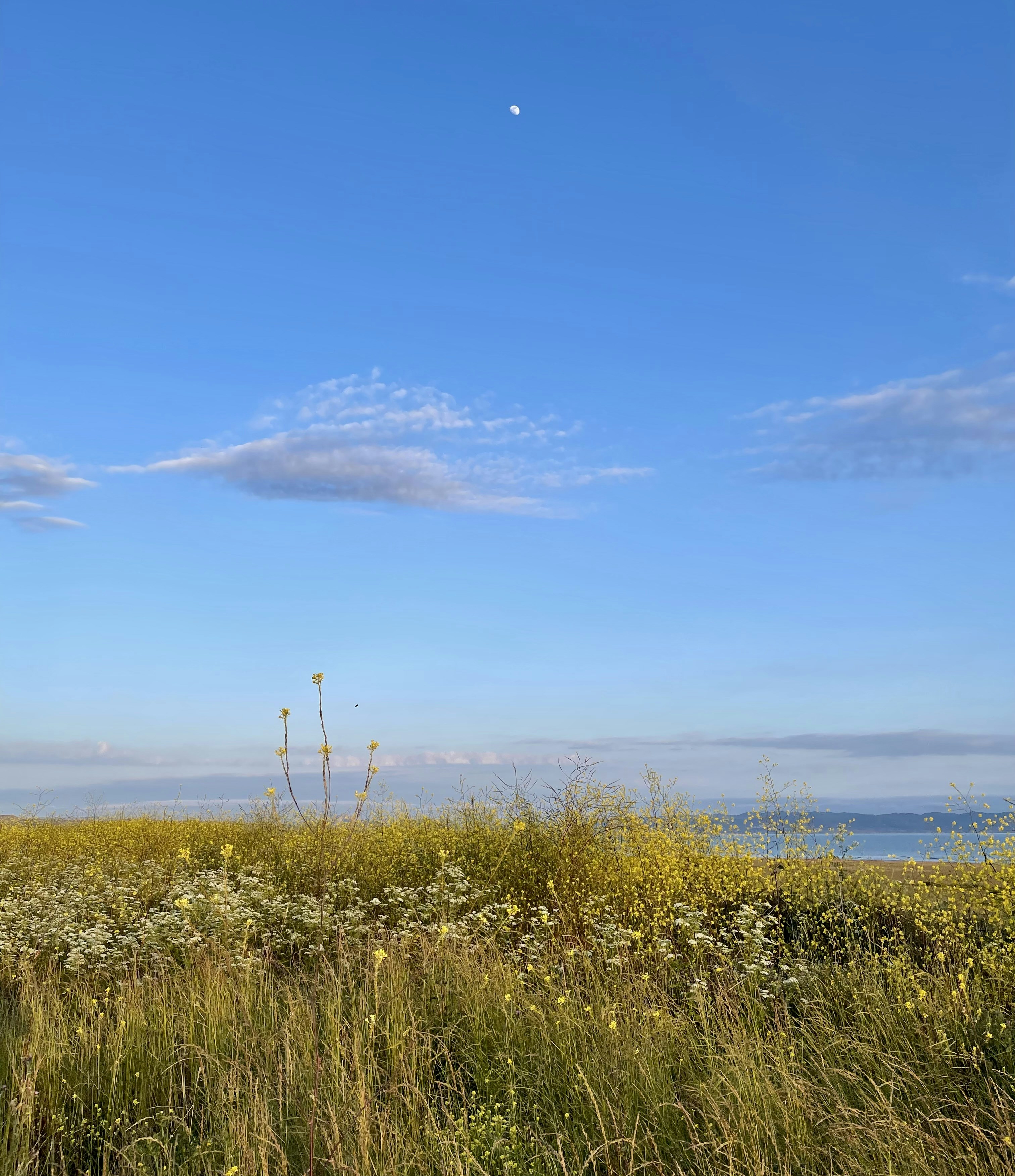 Photo by cam_cameras