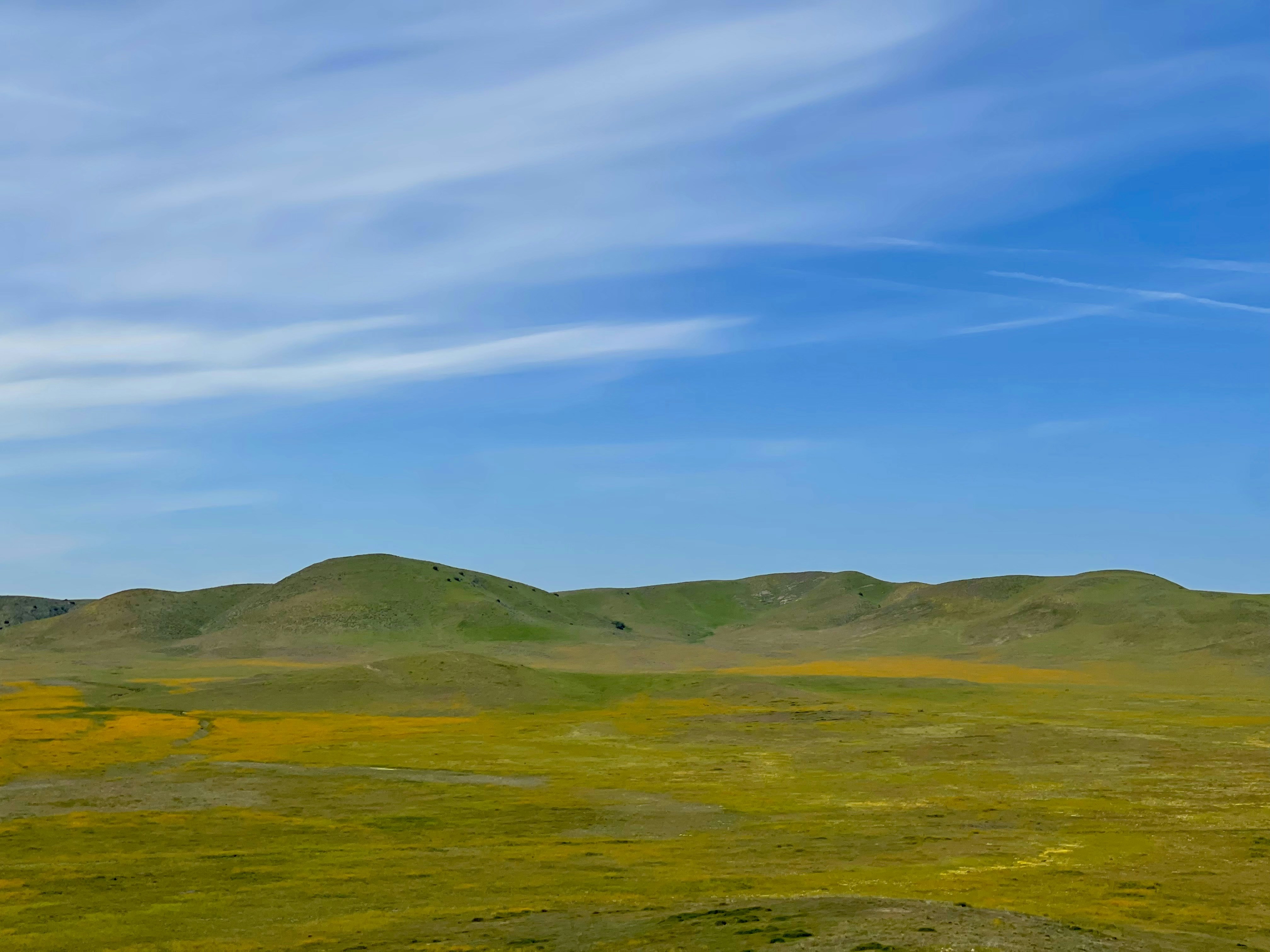 Photo by cam_cameras