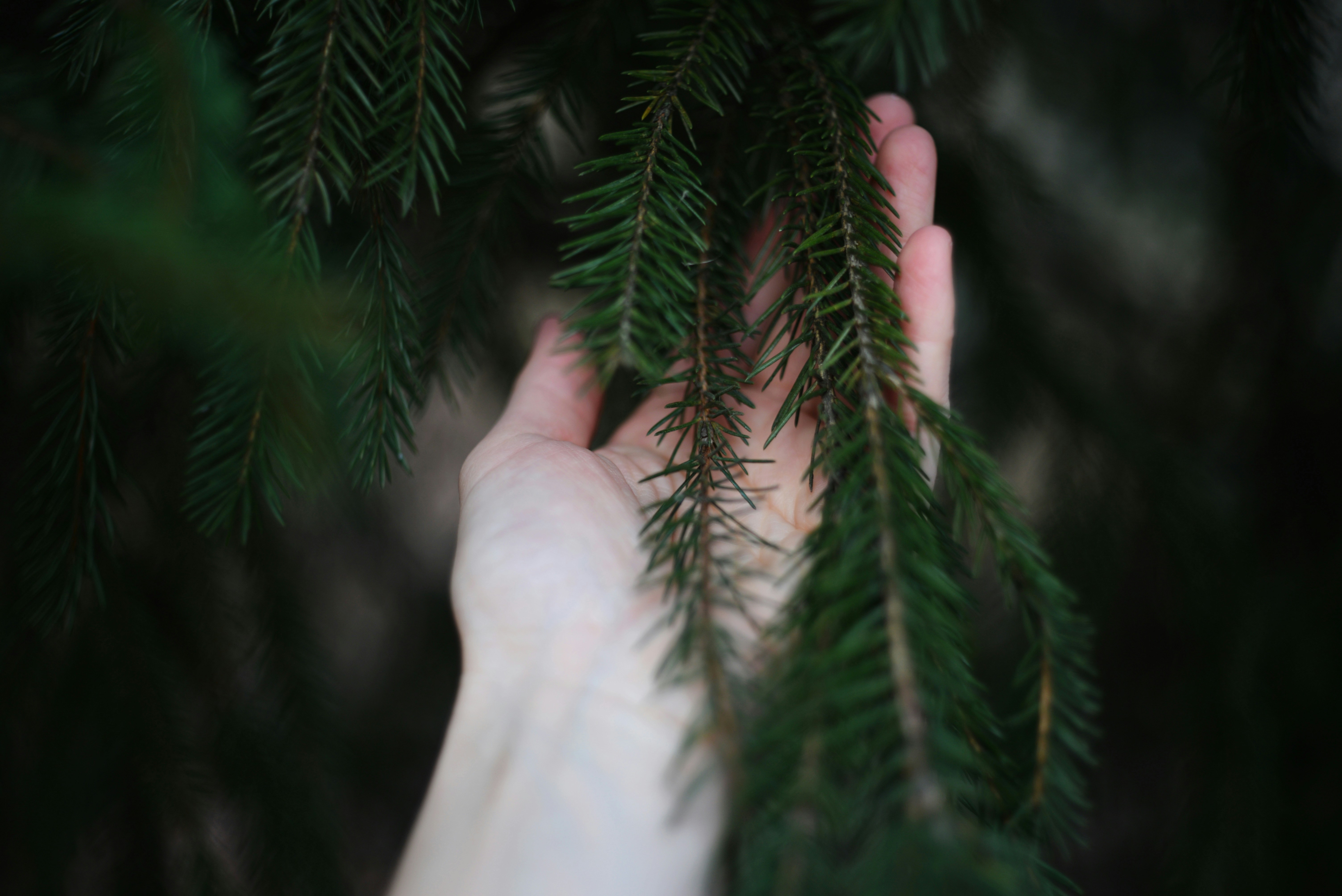 Photo by cherstve_pechivo