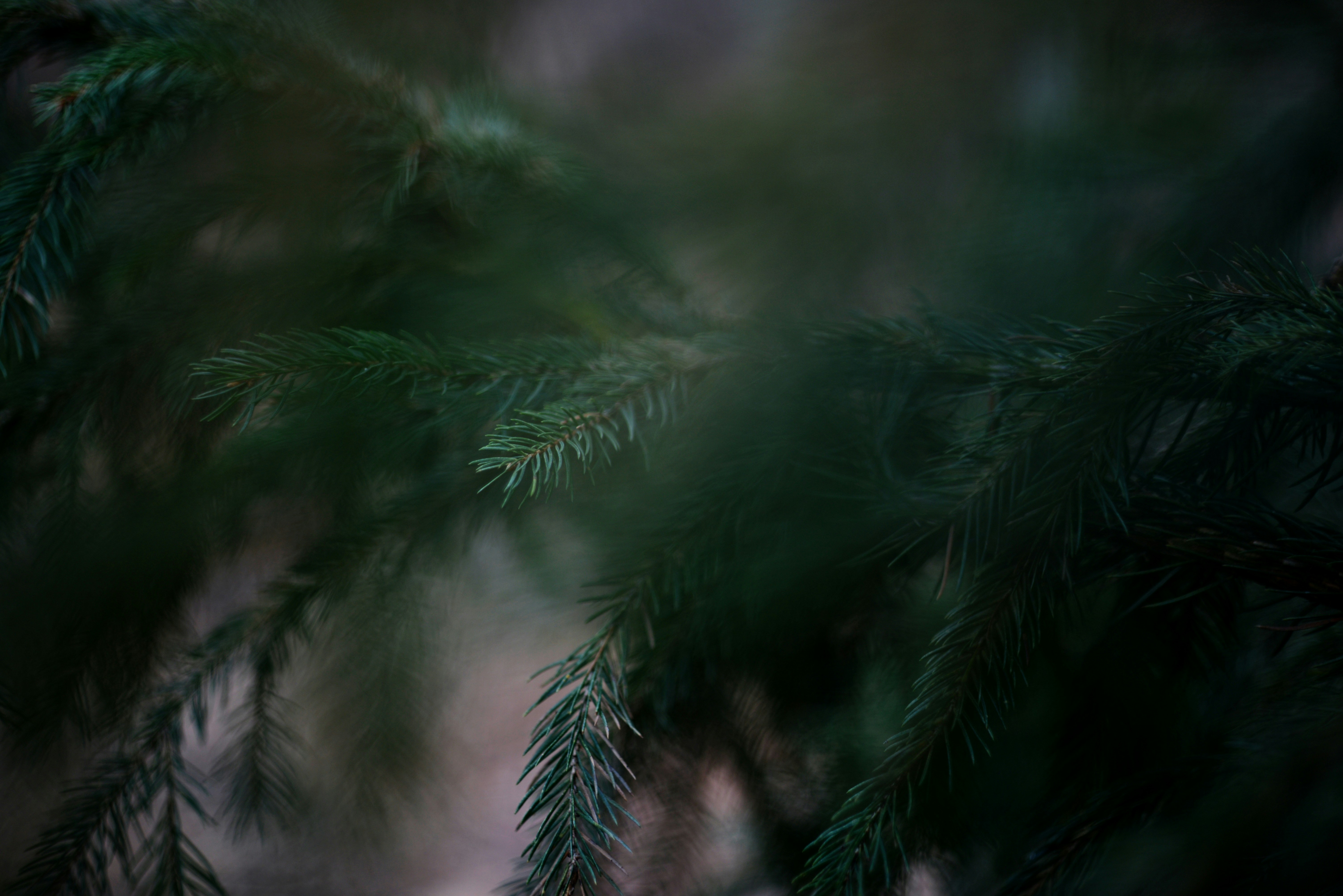 Photo by cherstve_pechivo