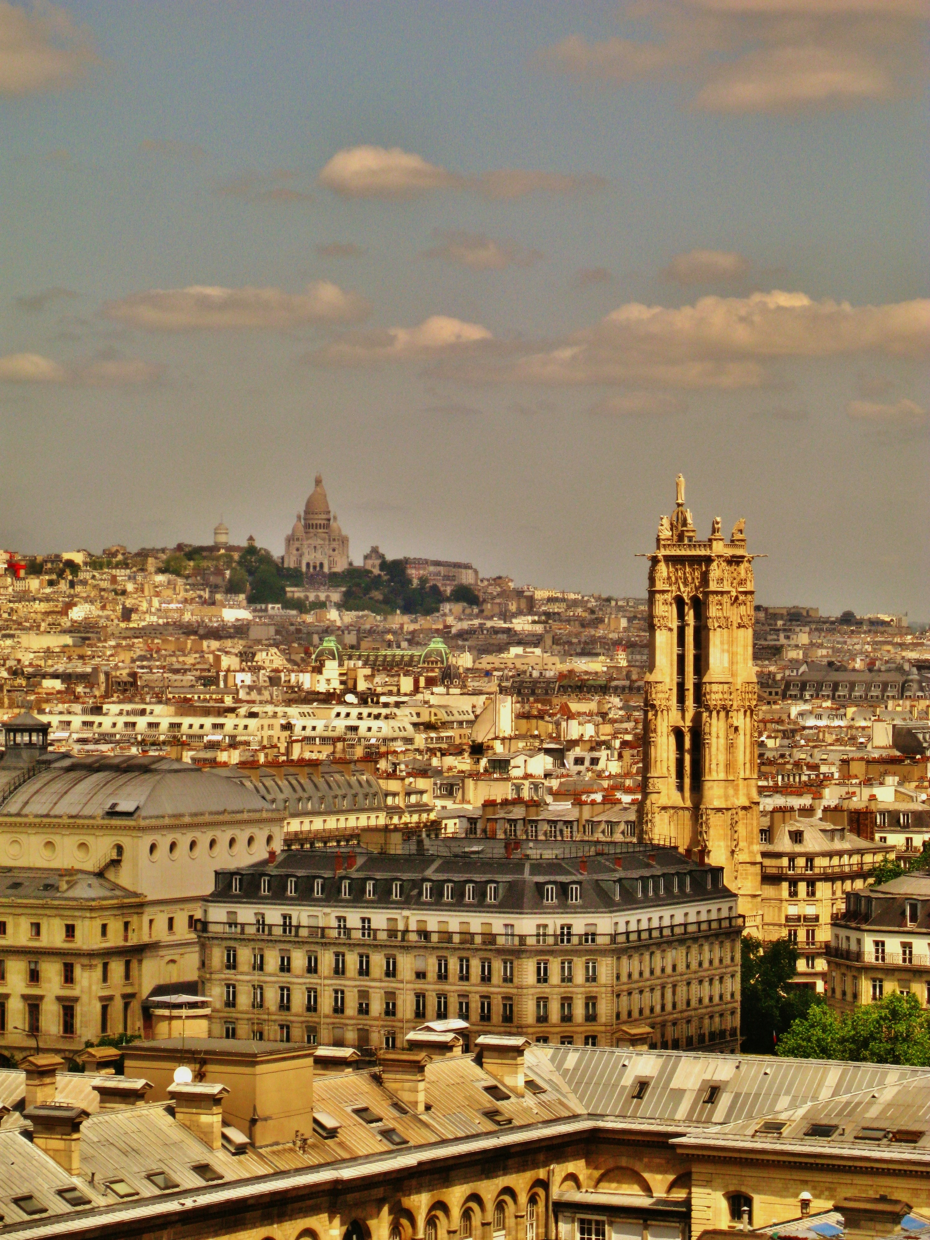 Photo by sewerynoseweryn