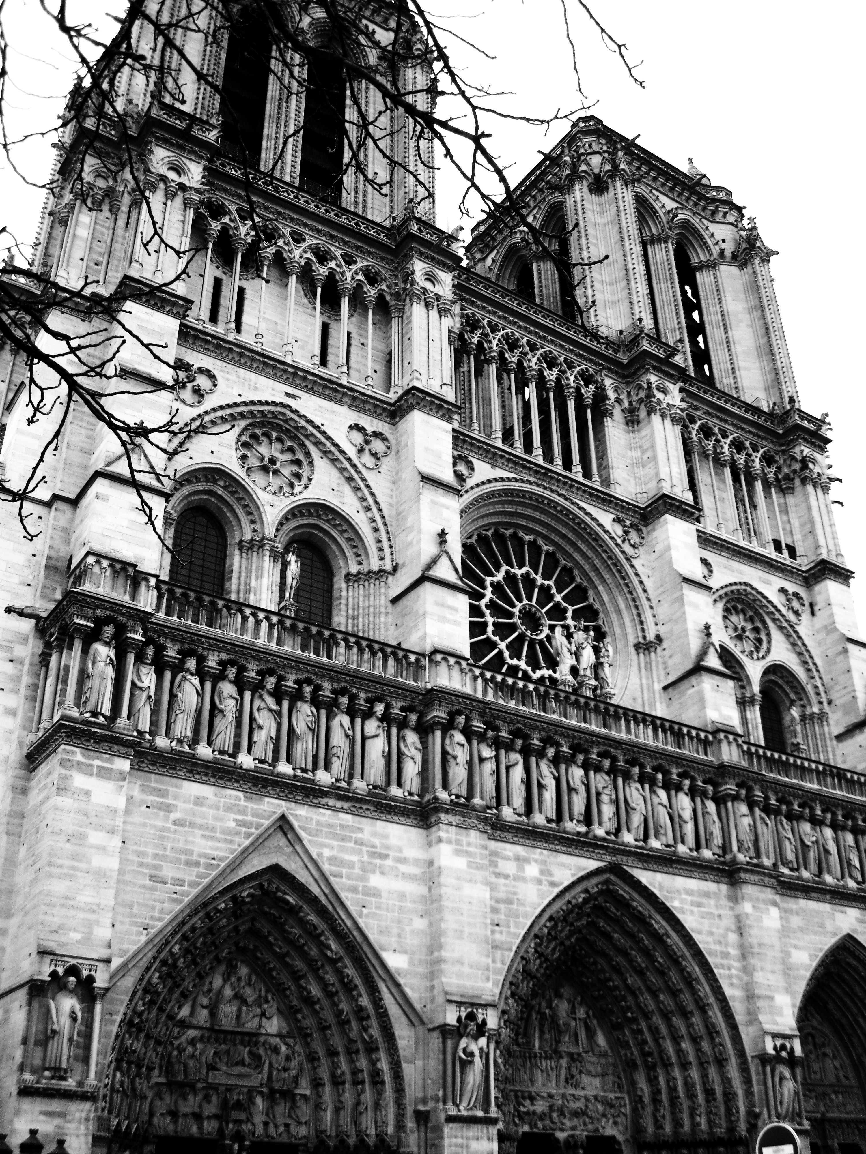 Photo by sewerynoseweryn