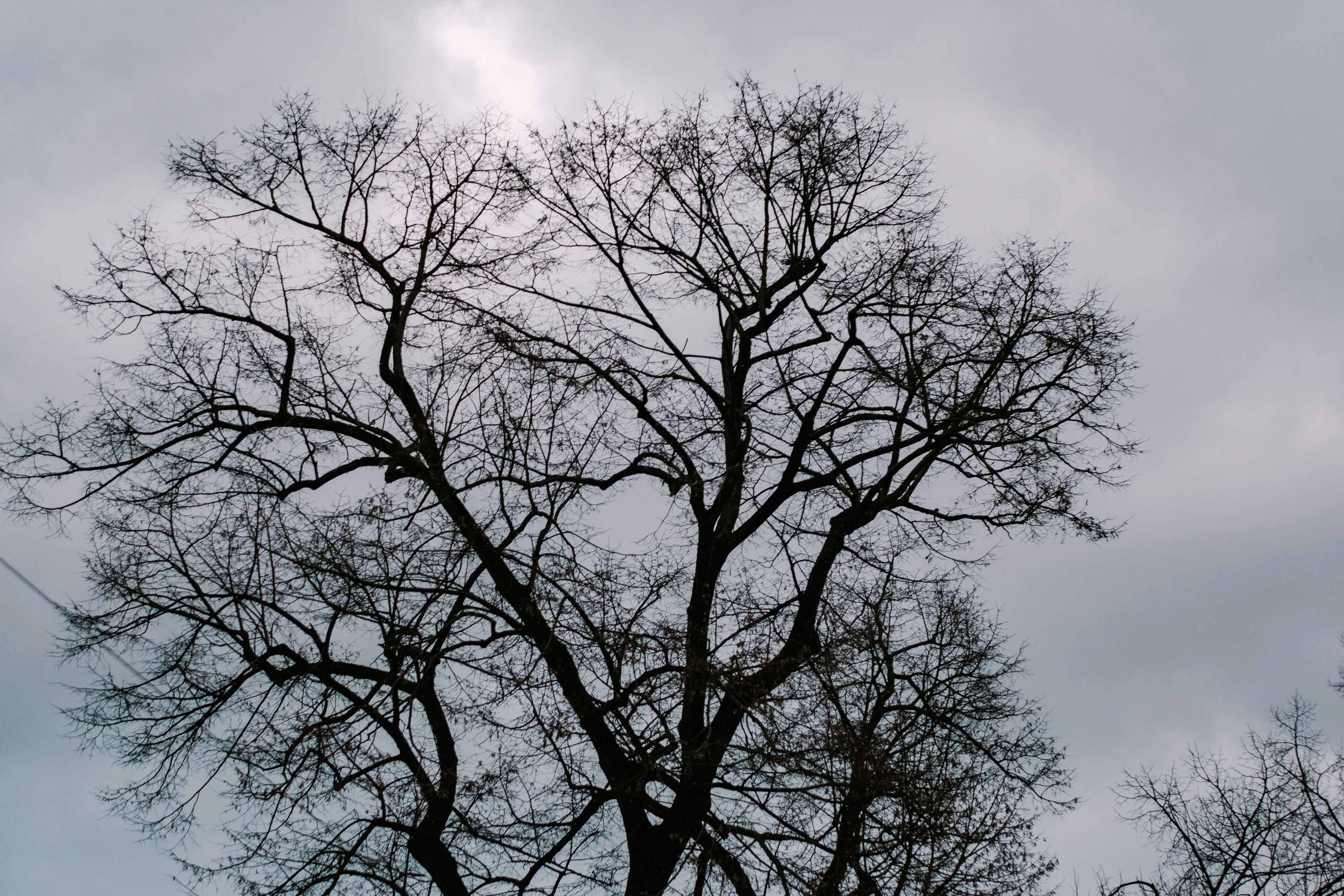 Photo by markuswinkler