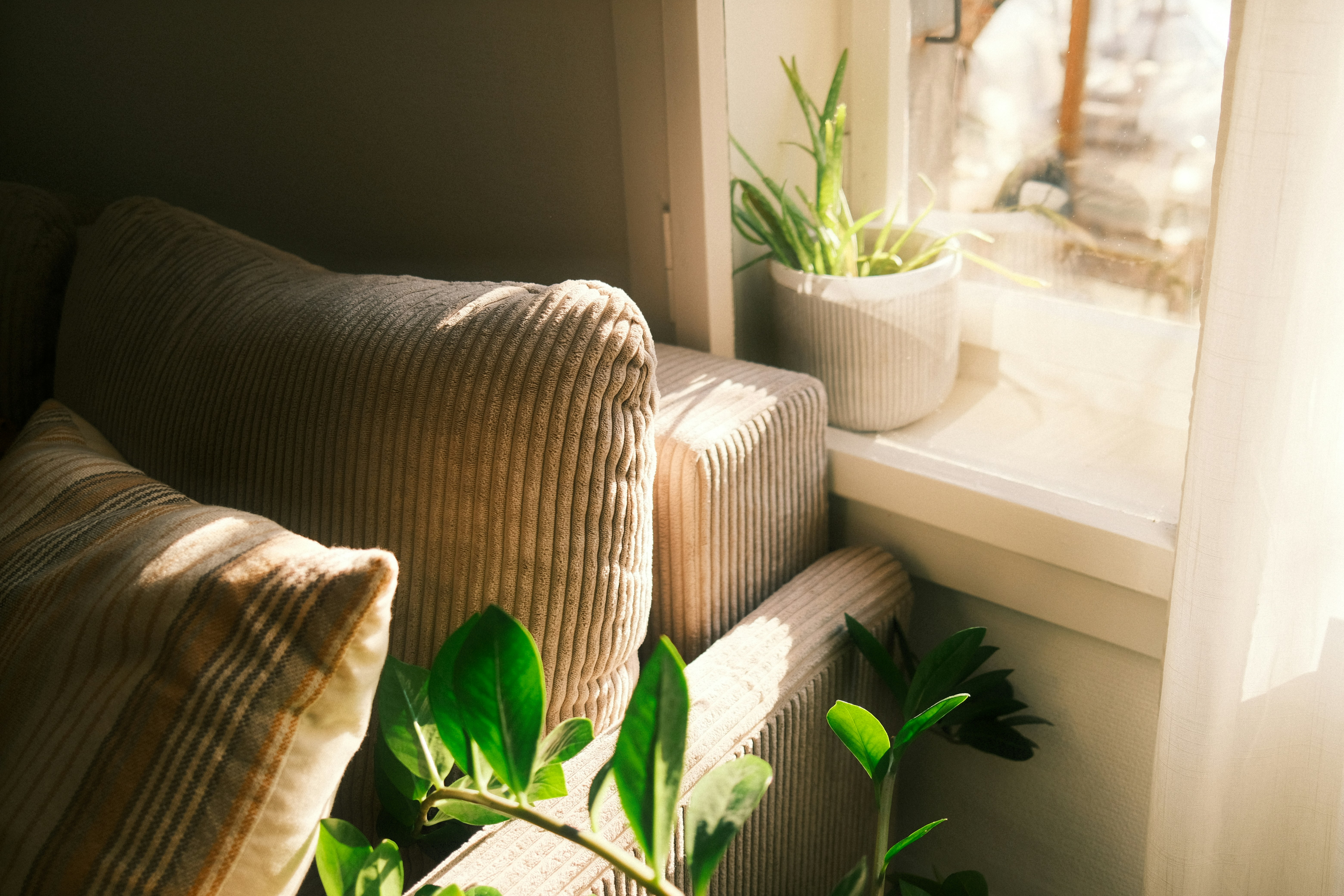 7 Eco-Friendly Practices for Allergy-Prone Homes