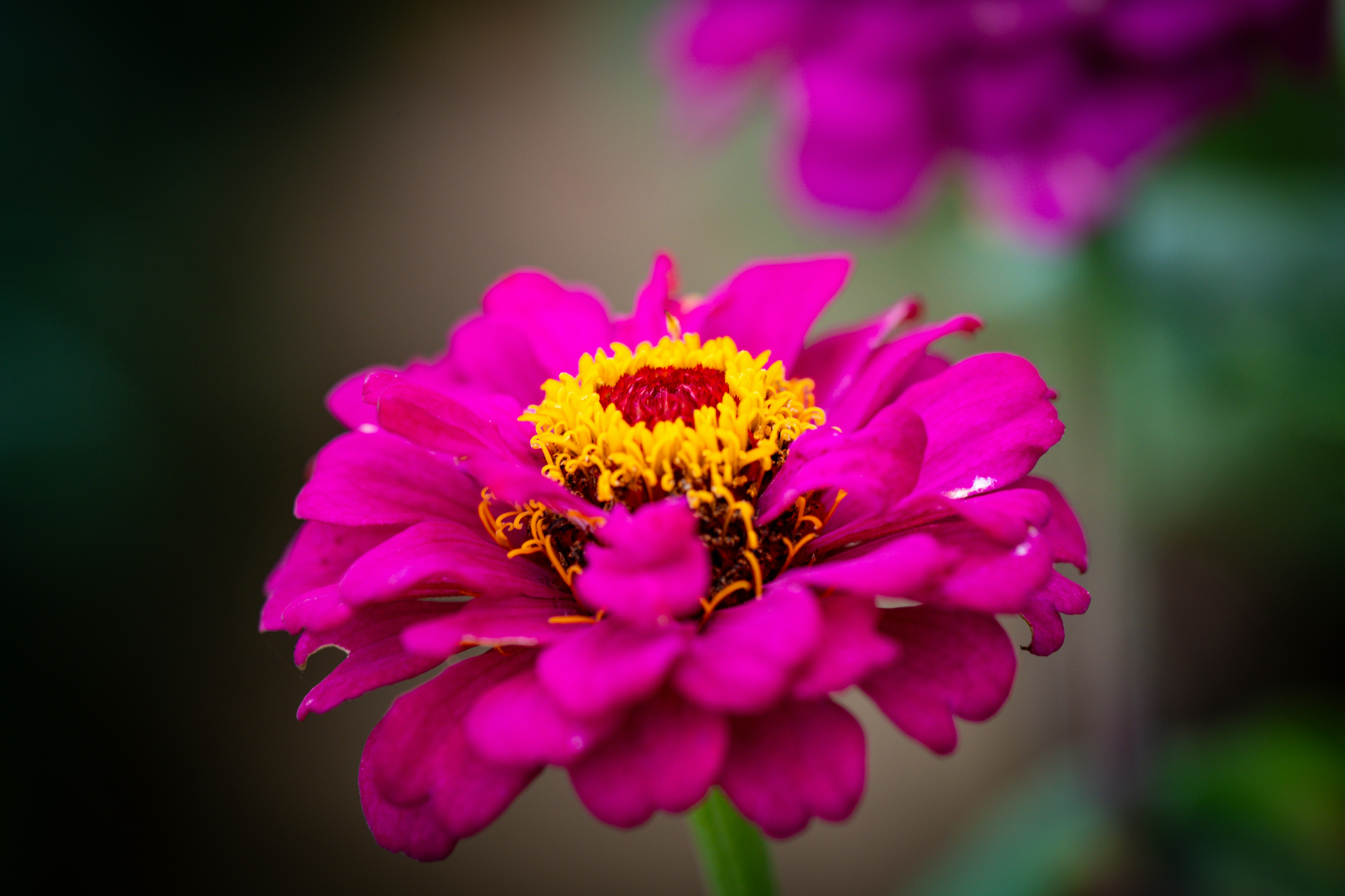 Photo by samtakespictures