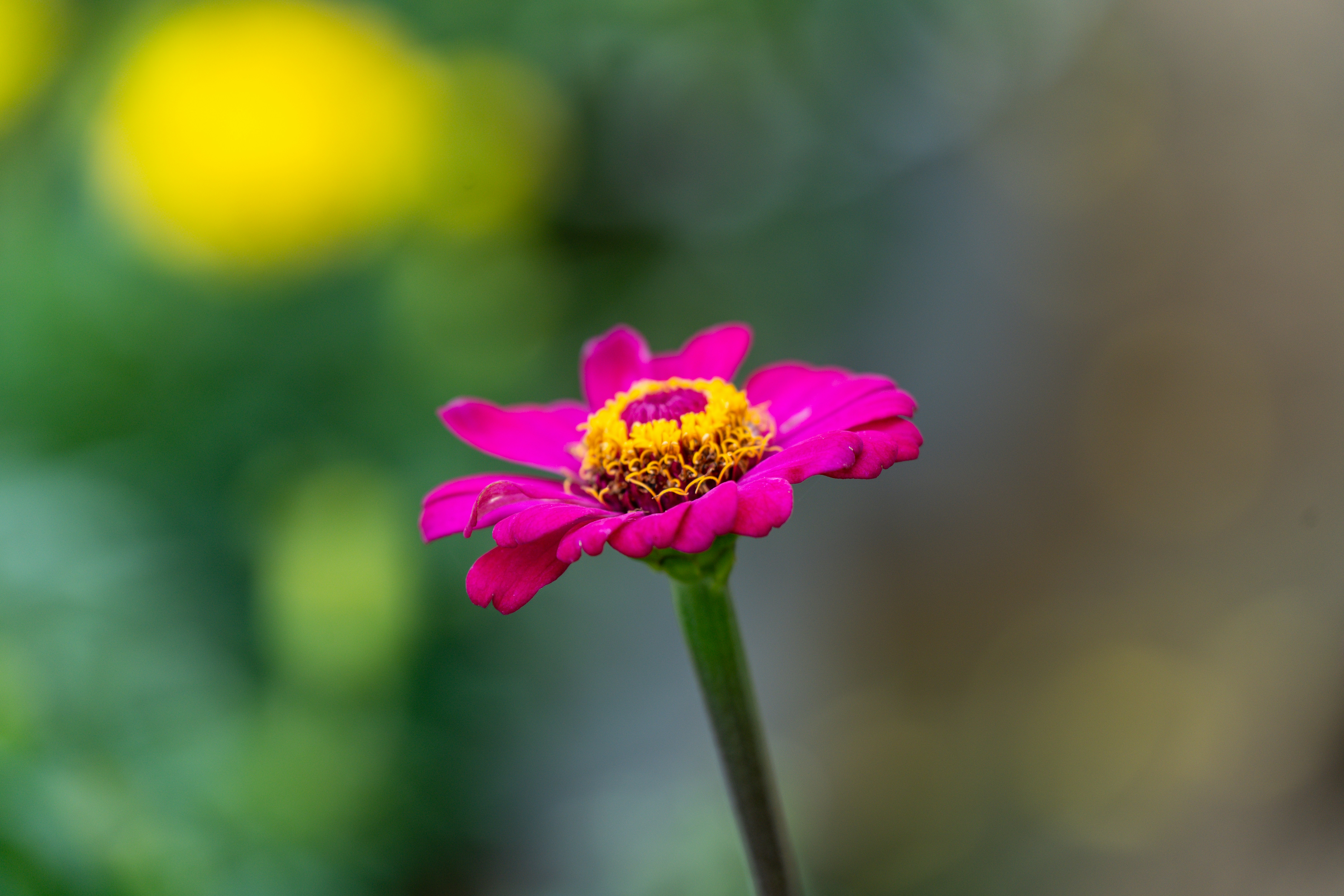 Photo by samtakespictures