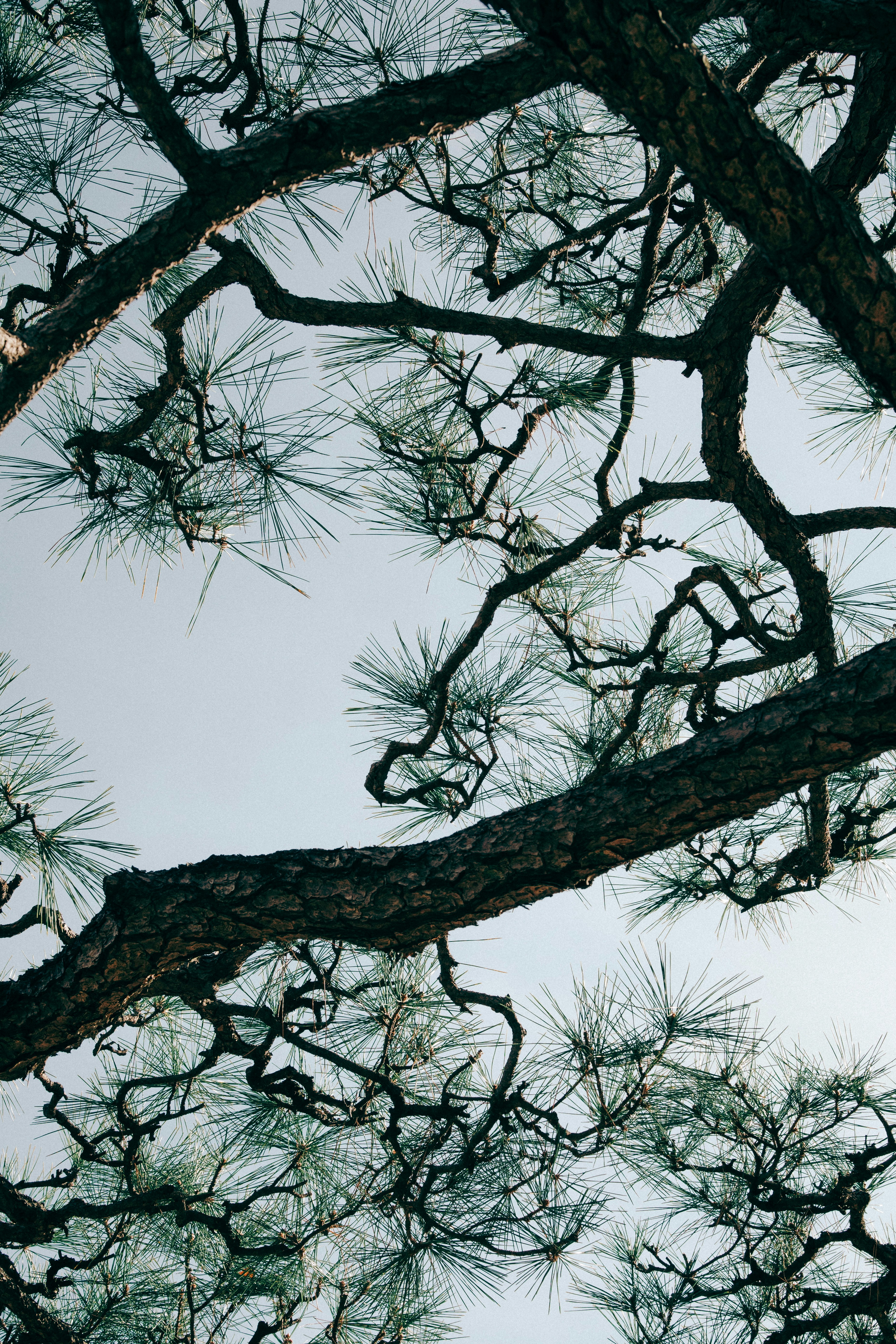 Photo by alltimeryou