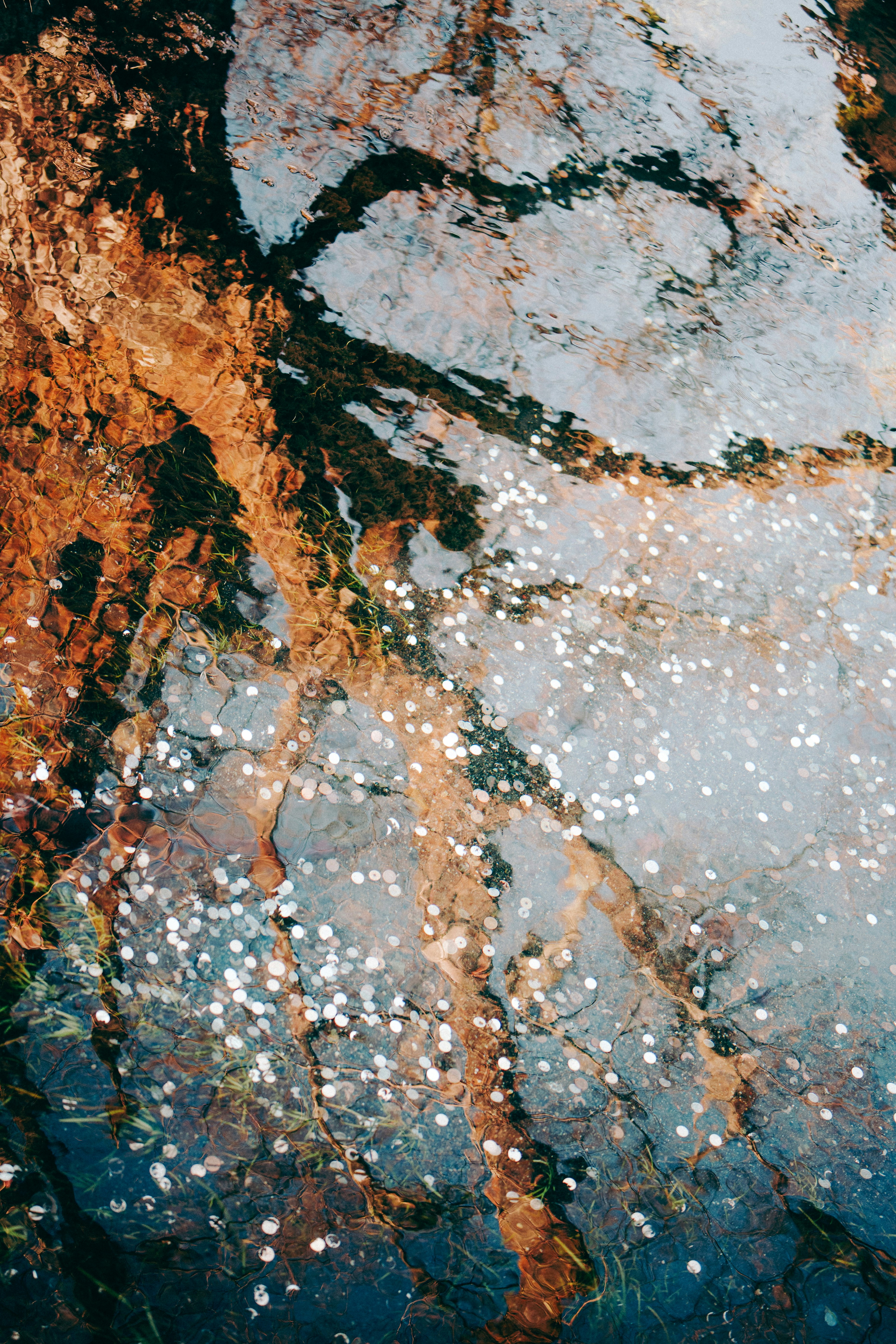 Photo by alltimeryou