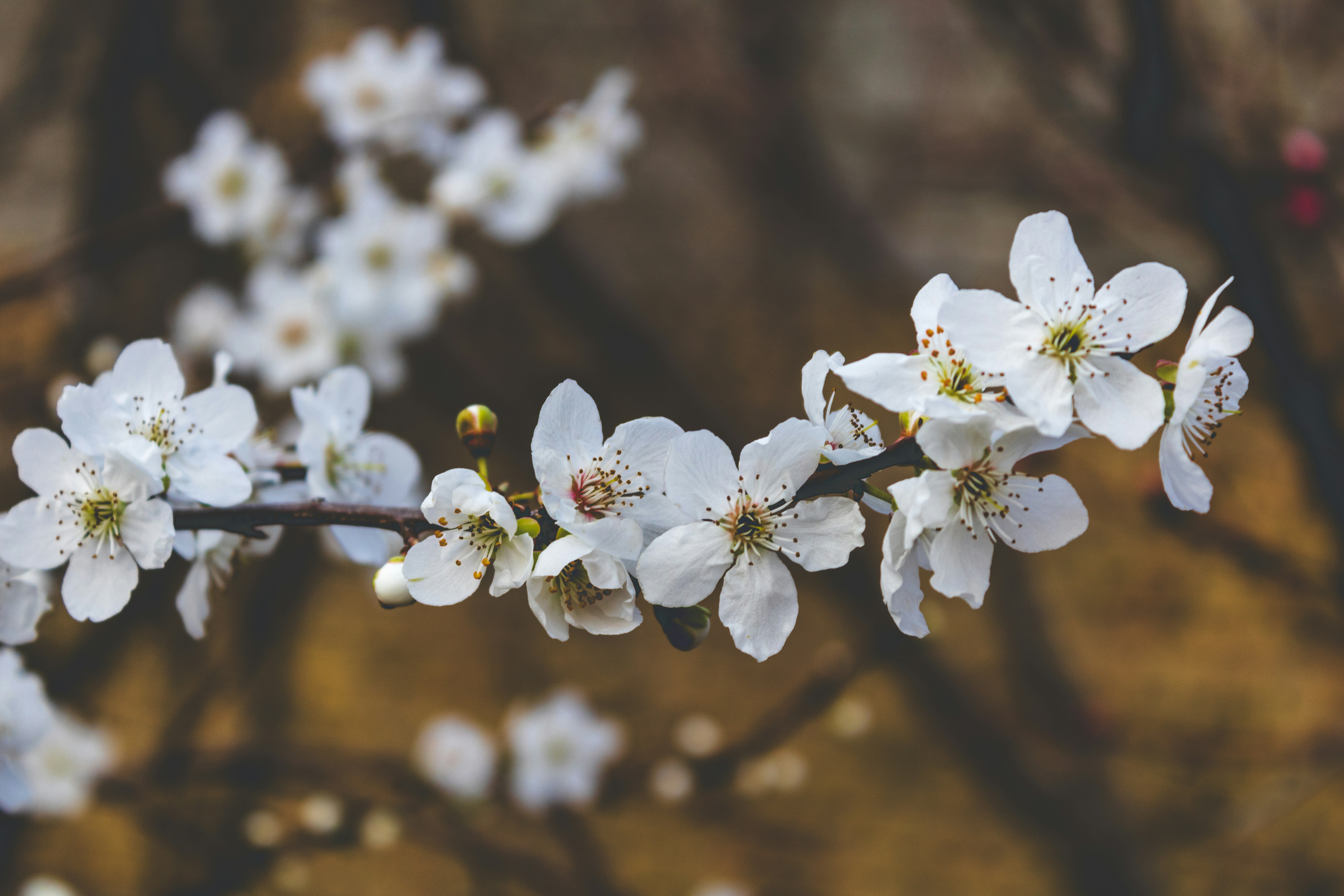 Photo by mohammadelikaei