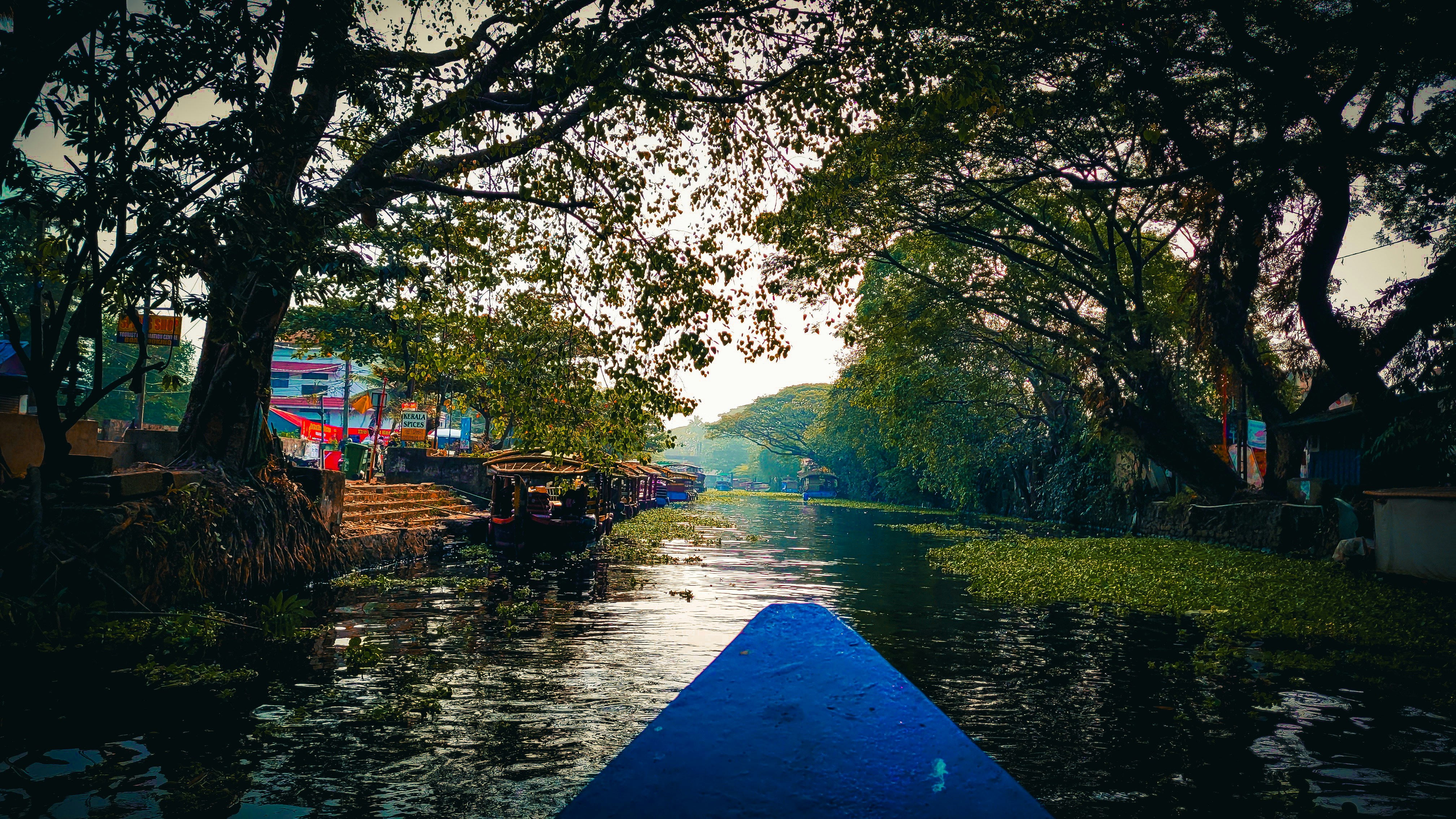 Photo by nikhil_sachan