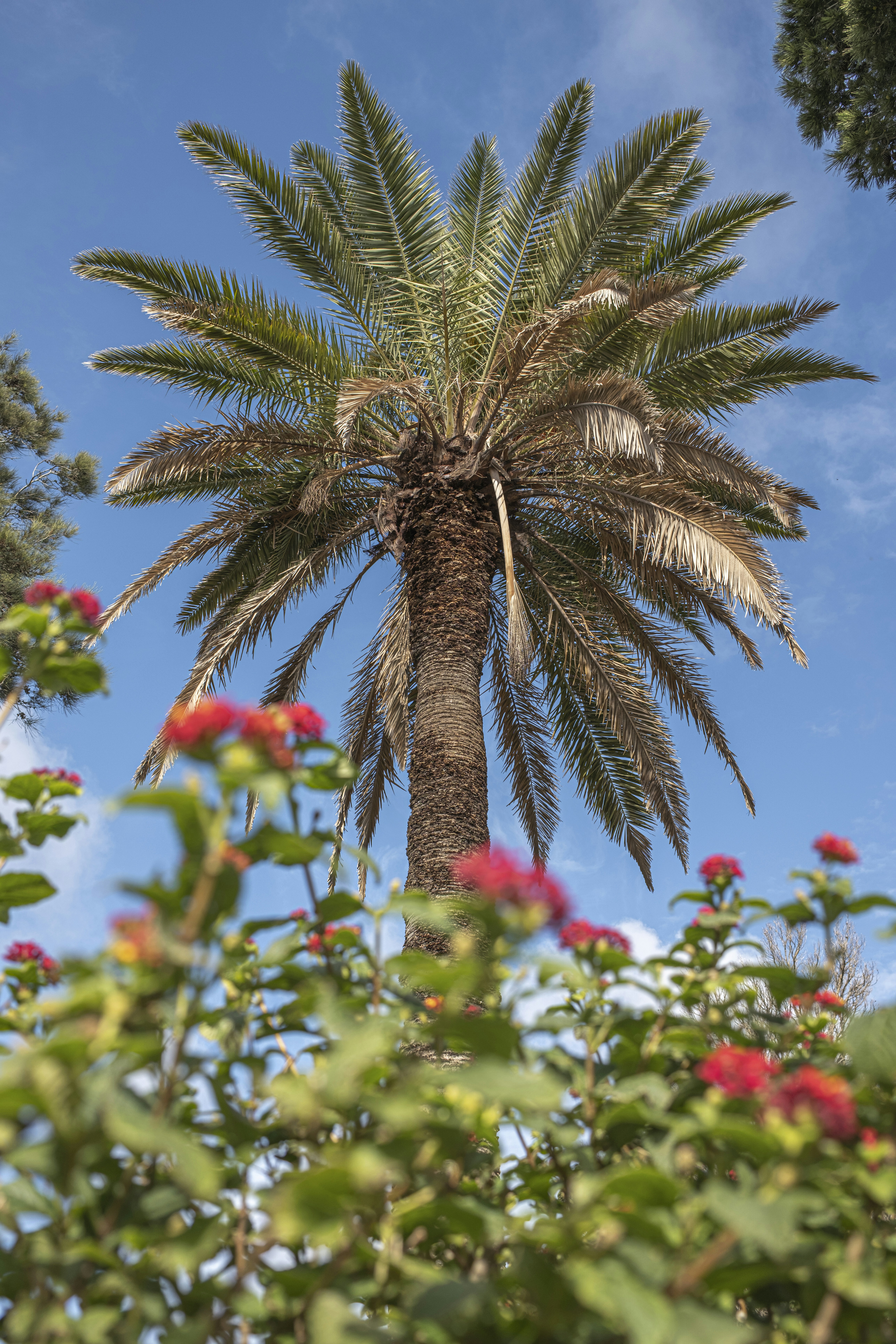 Photo by inga_images