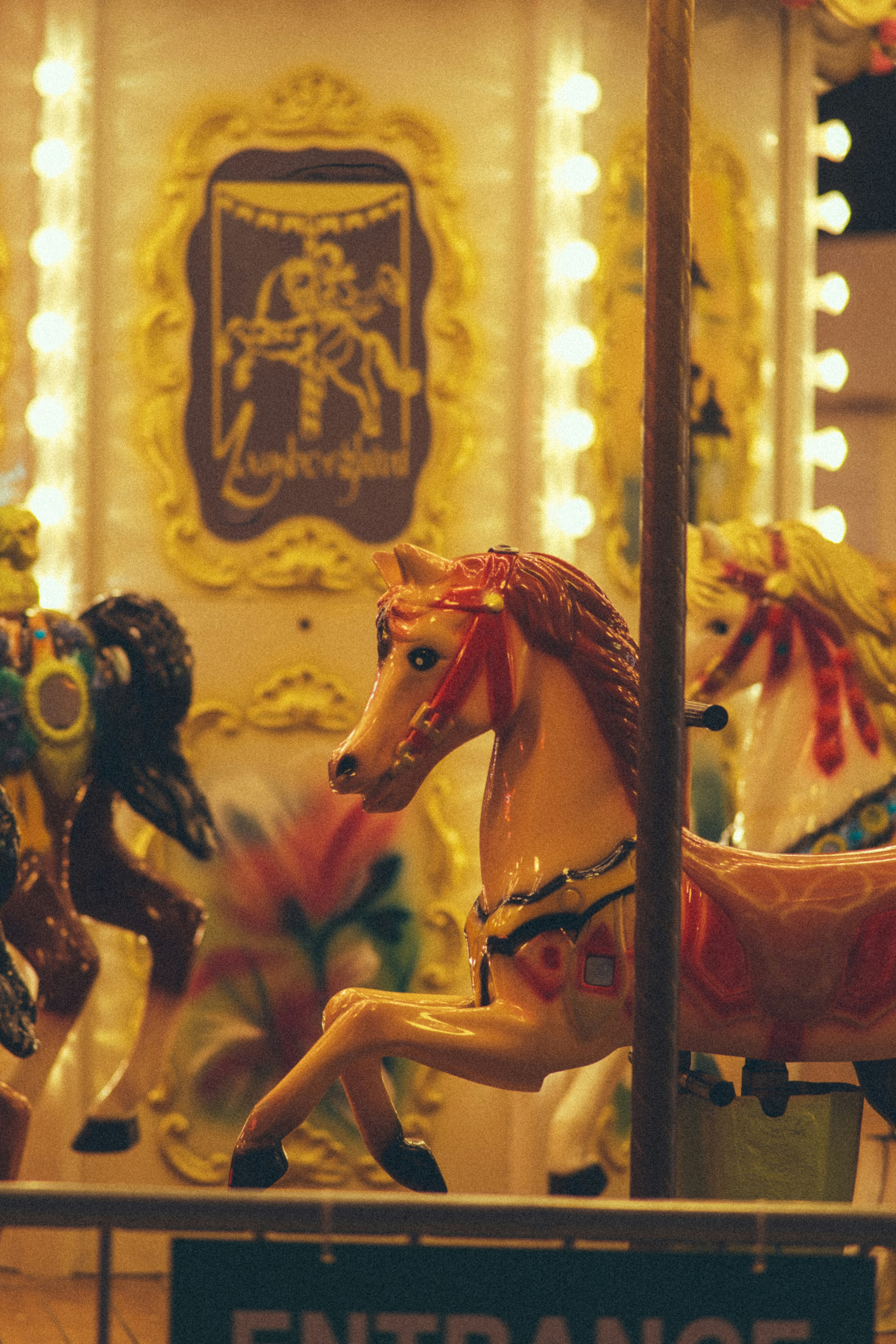 Carousel horses are illuminated and ready for rides.
